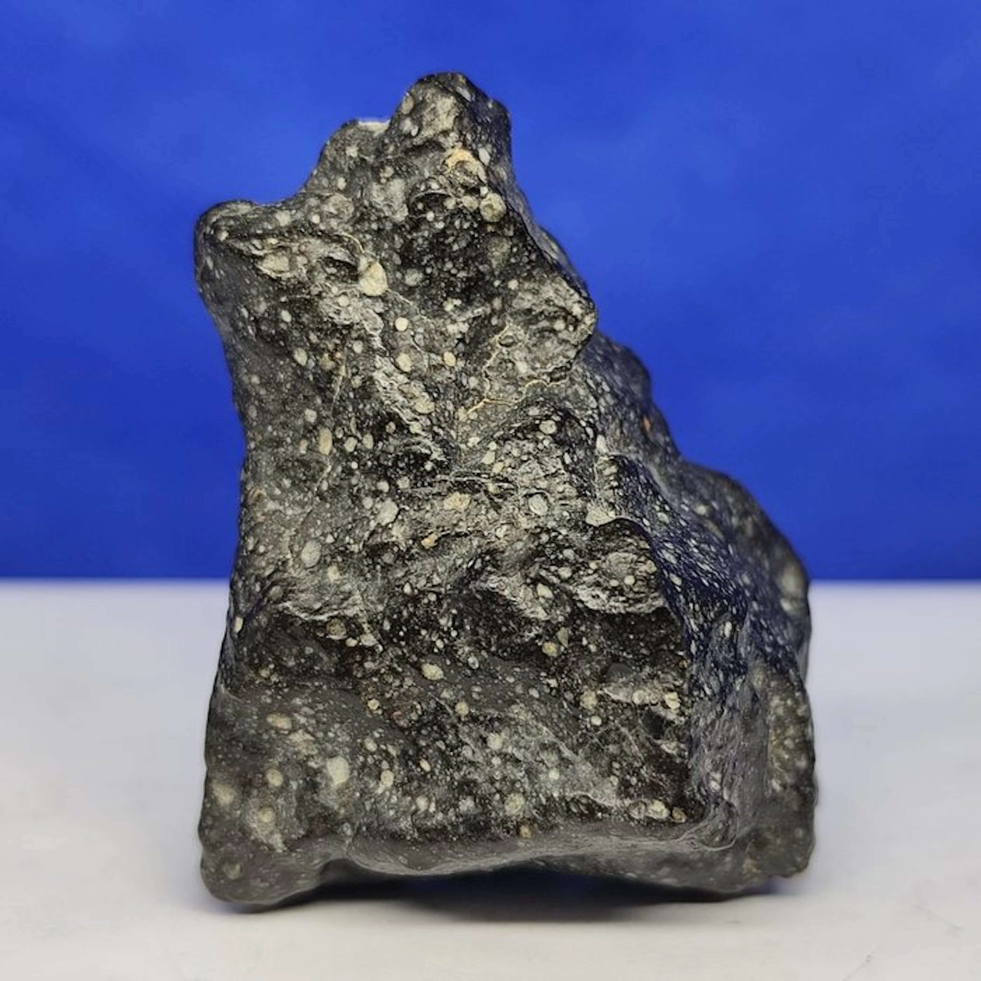 Only 1959 g in the World- RUMURUTI Chondrite R3-6
