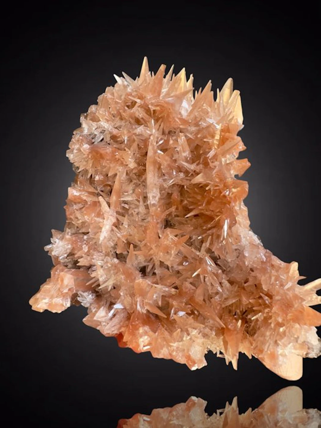 Plate with gleaming calcite needles