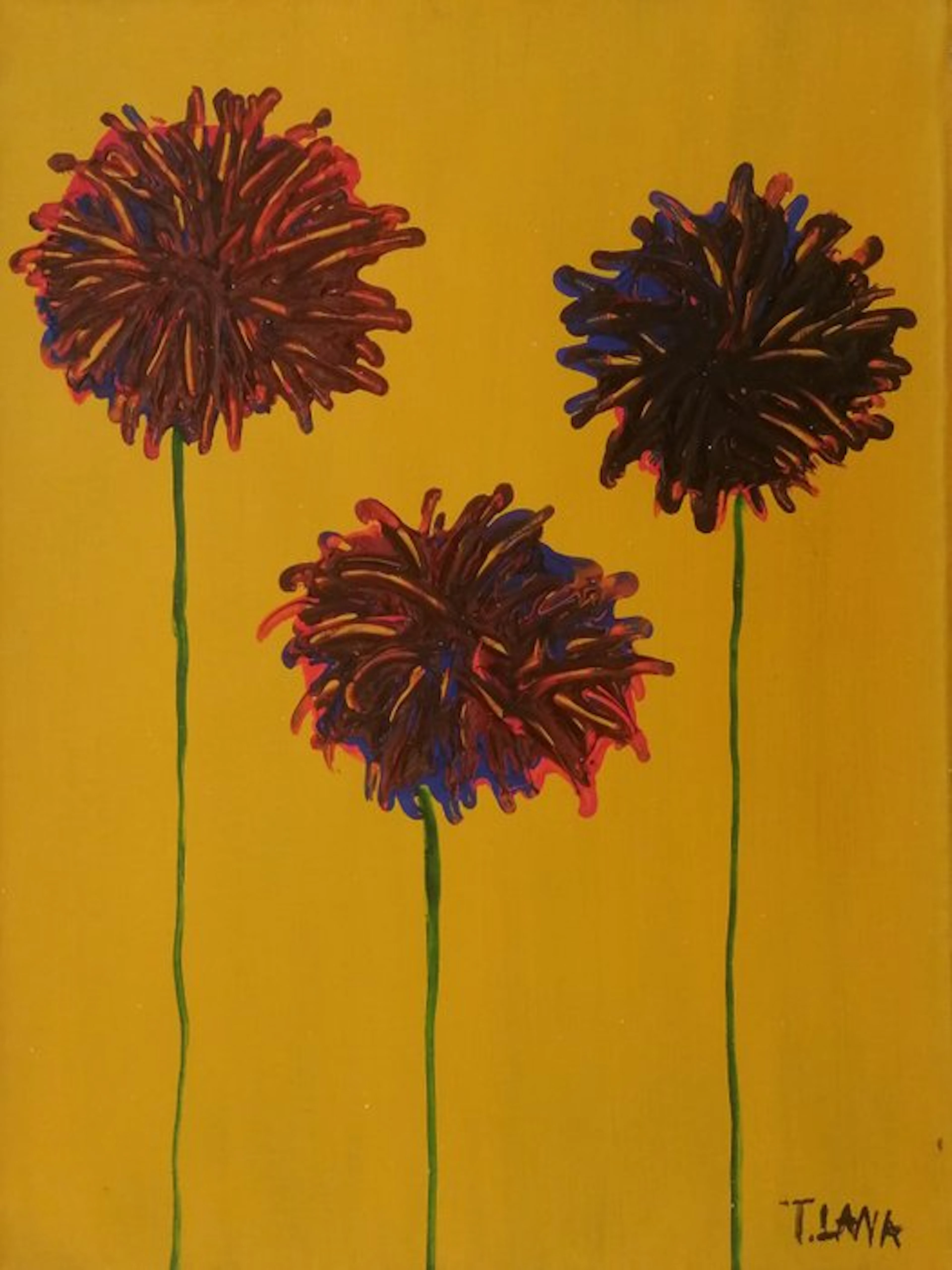 Terenzio Lana - fiori di gomma
