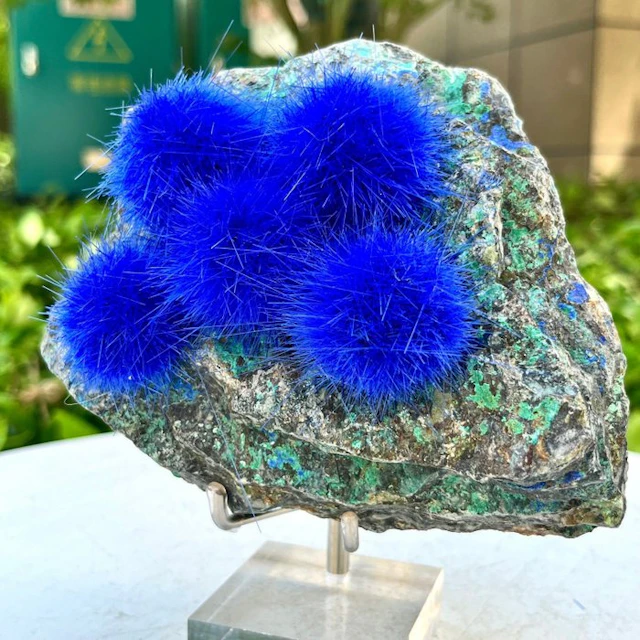 Acicular Blue Magnesium Crystals on matrix - Height: 15 cm - Width: