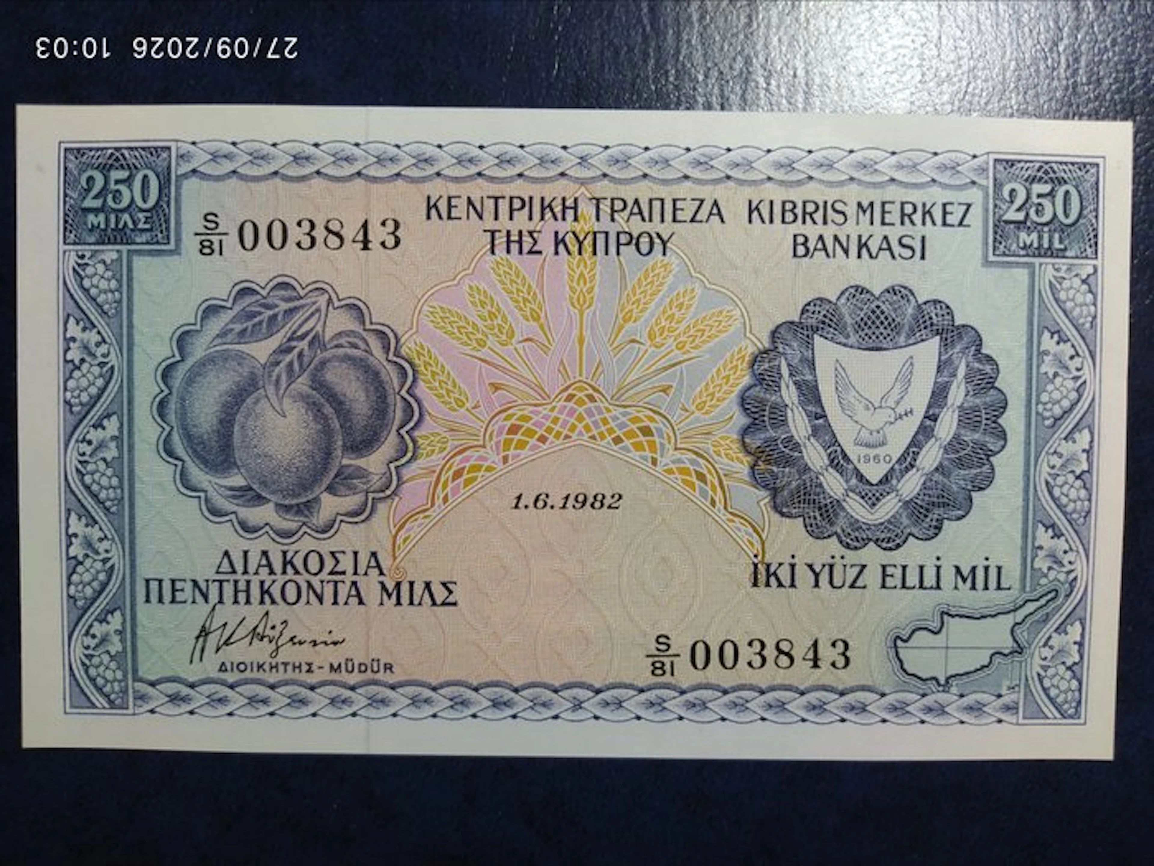 Cyprus. - 250 Mils - 1982 - Pick 41c (No reserve price)