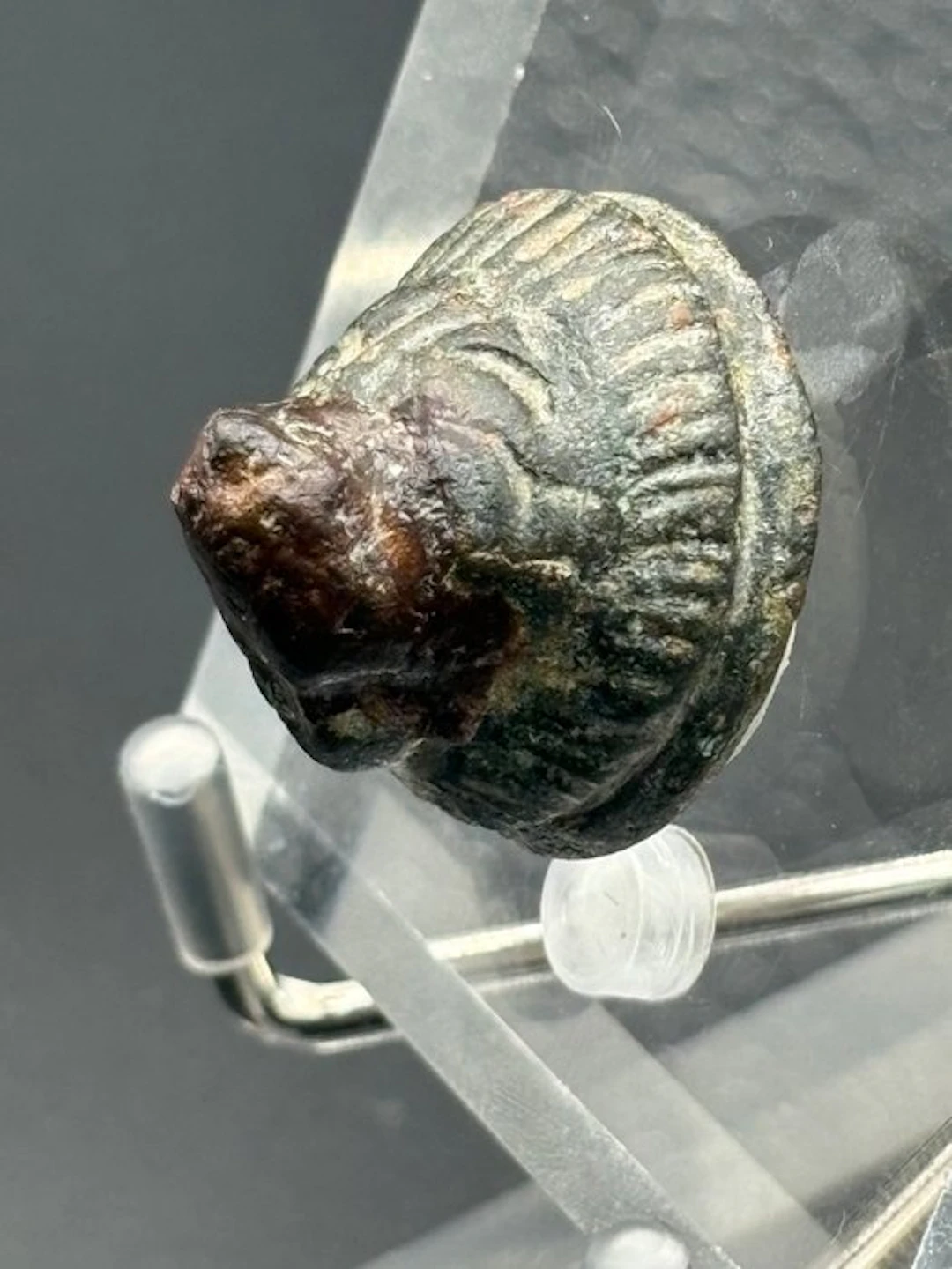 Ancient Roman, Empire Bronze Lion's head - 23 mm (No reserve price)
