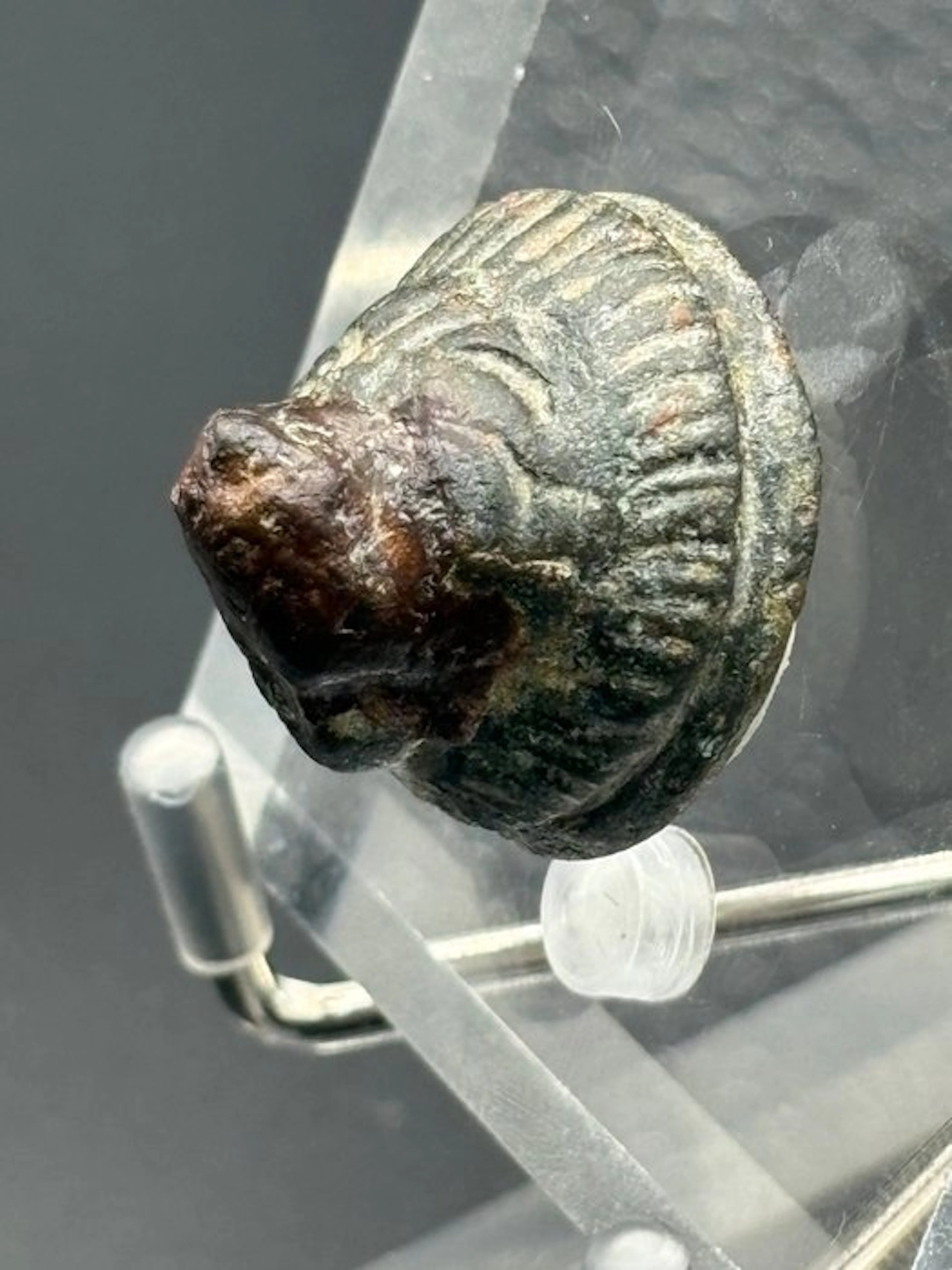 Ancient Roman, Empire Bronze Lion's head - 23 mm (No reserve price)