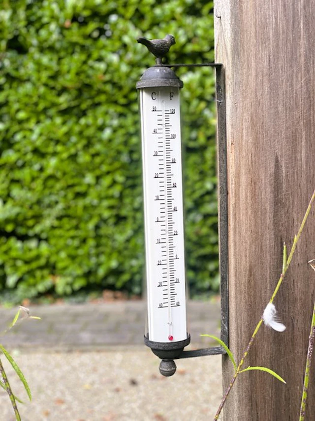 Thermometer - Iron, Glass - 58.5 cm
