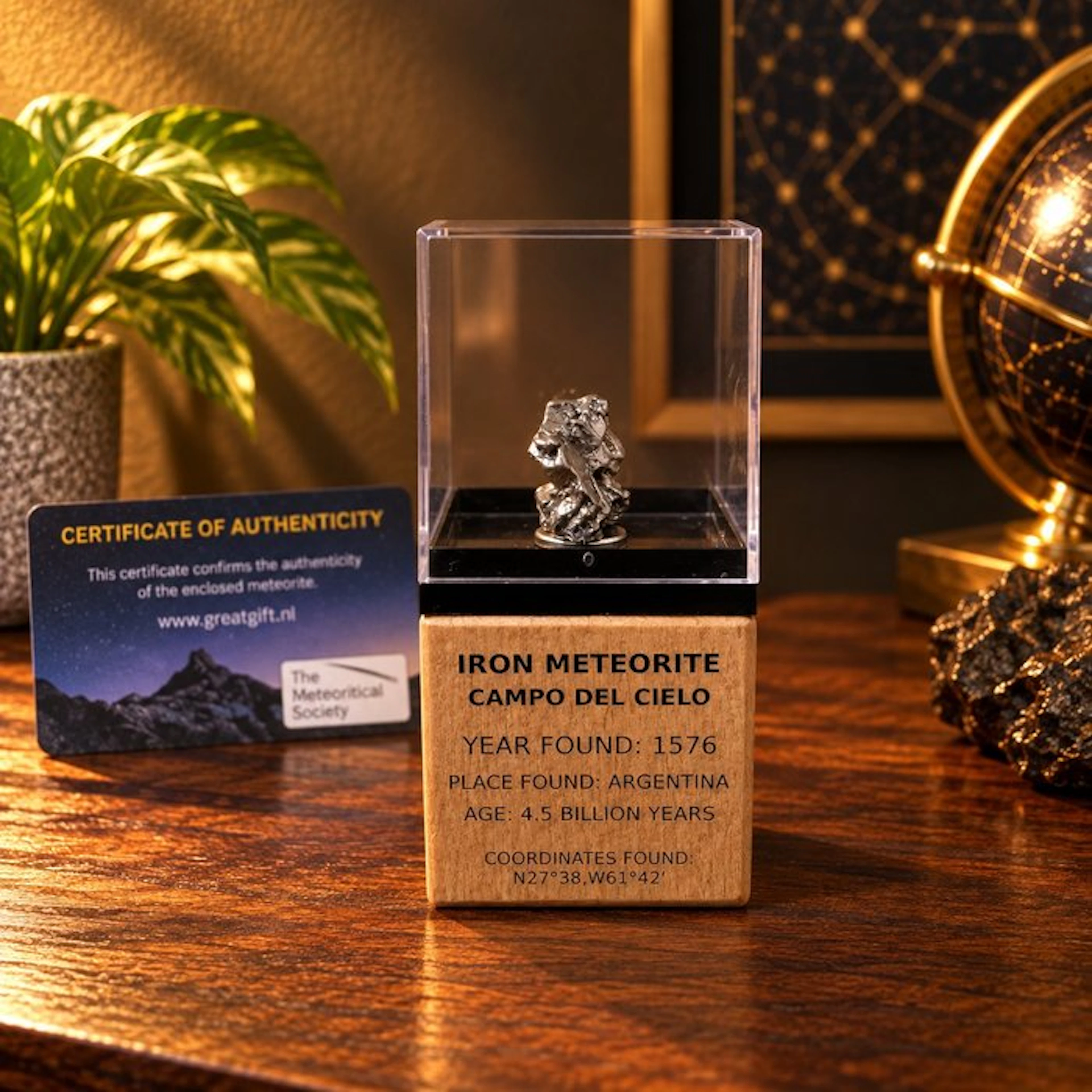 Magnificent Campo Del Cielo iron meteorite - On a...
