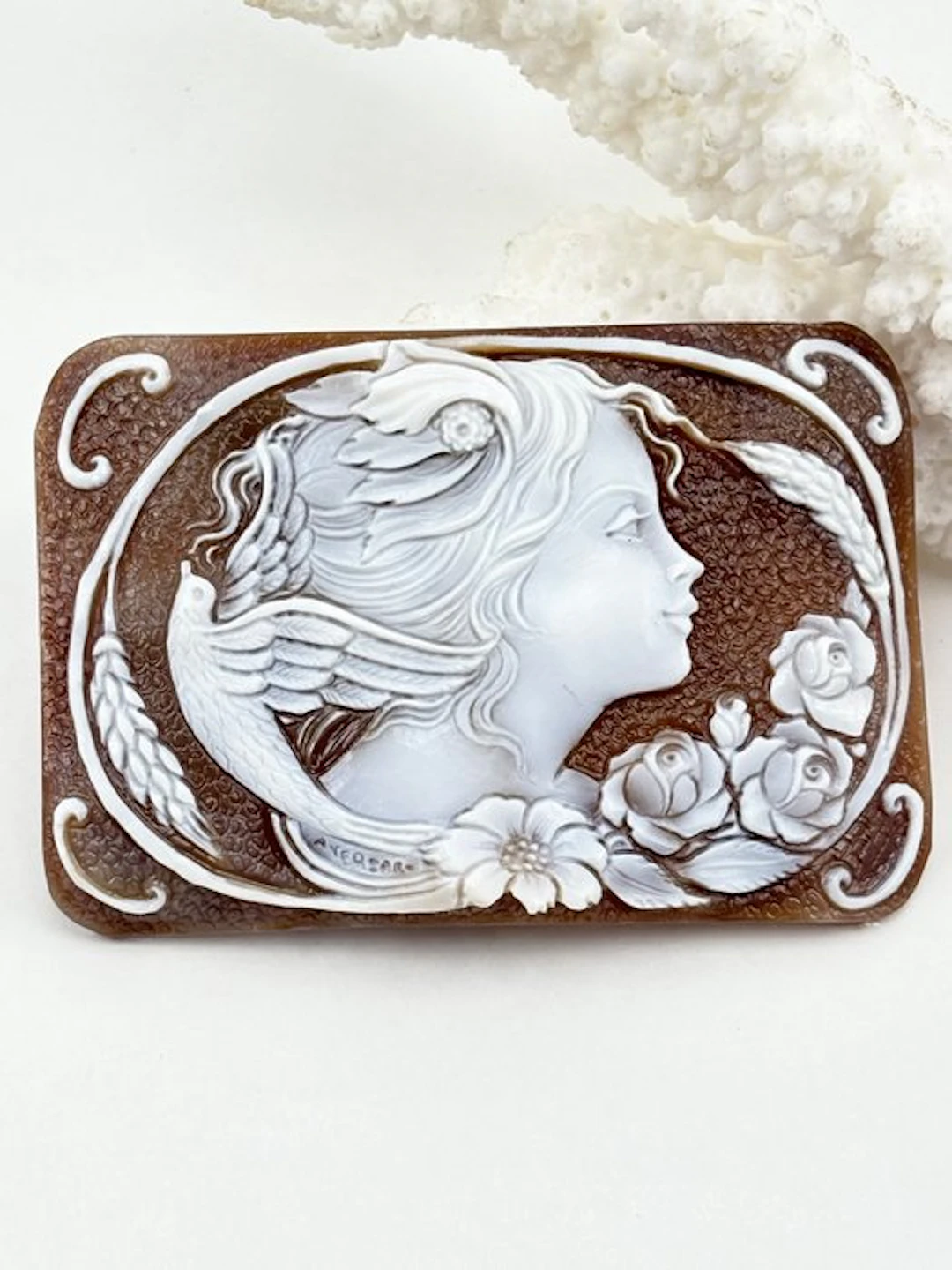 Cassis madagascariensis - Cameo - Hand-engraved cameo