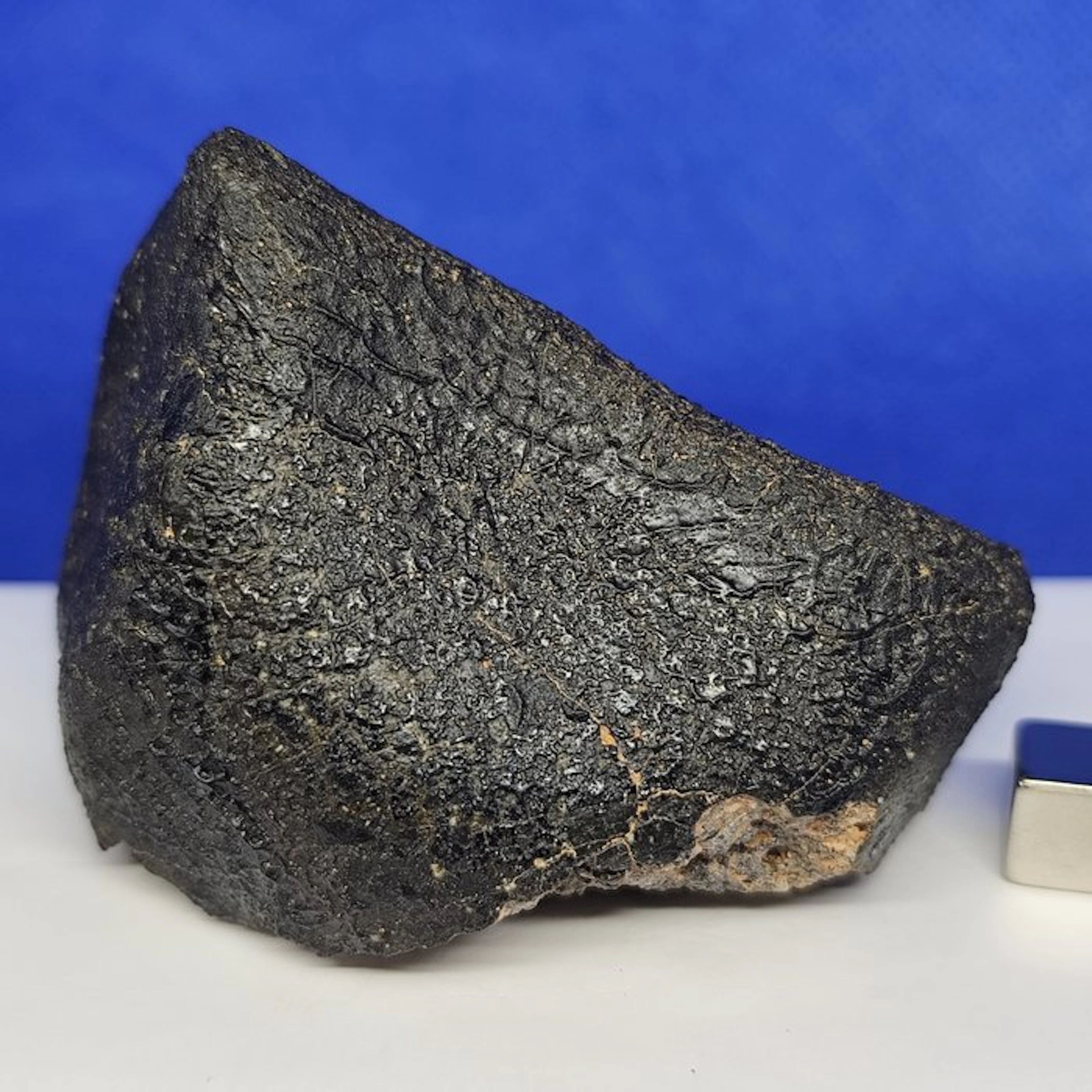 MUSEUM QUALITY- Achondrite Meteorite (HED) Fusion crust...