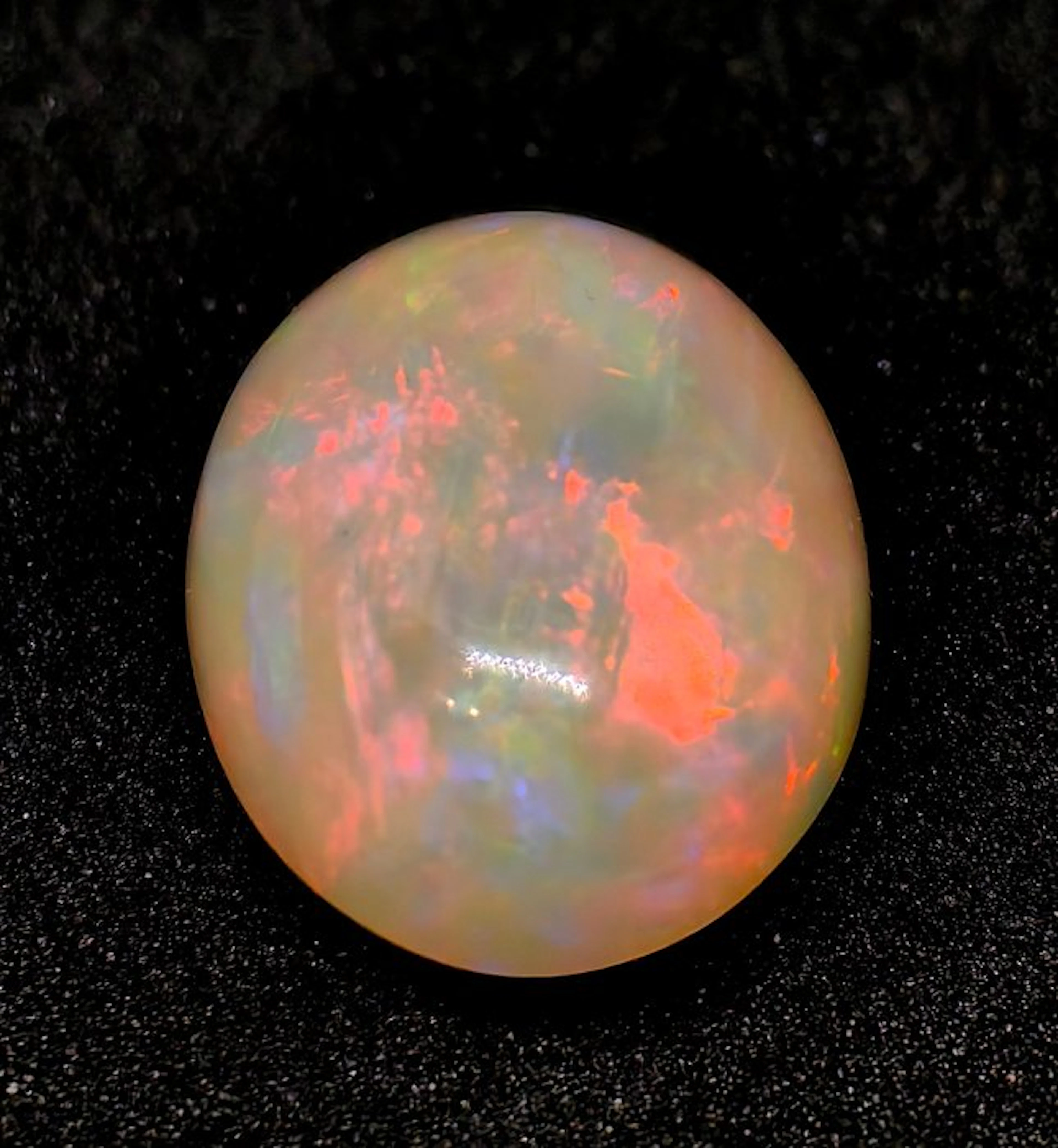 No reserve price Opal - 5.20 ct - Antwerp Laboratory for Gemstone