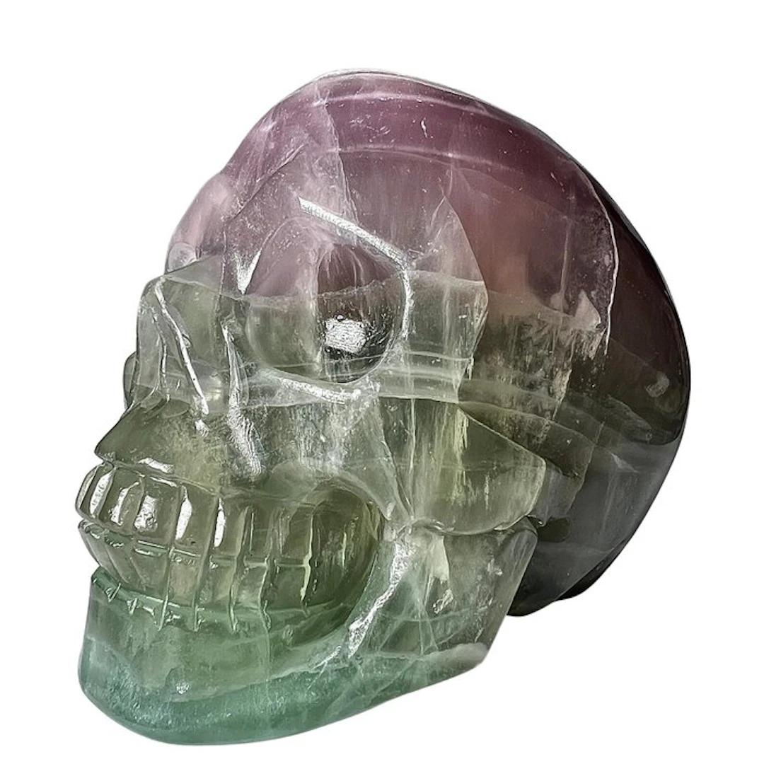 Premium Fluorite Skull Carving - Height: 90 mm - Width: 100 mm- 1000 g - (1)