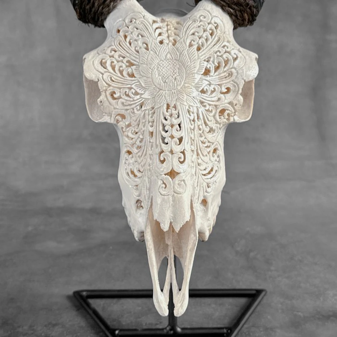 NO RESERVE PRICE - Authentic Hand-Carved White Goat Skull...