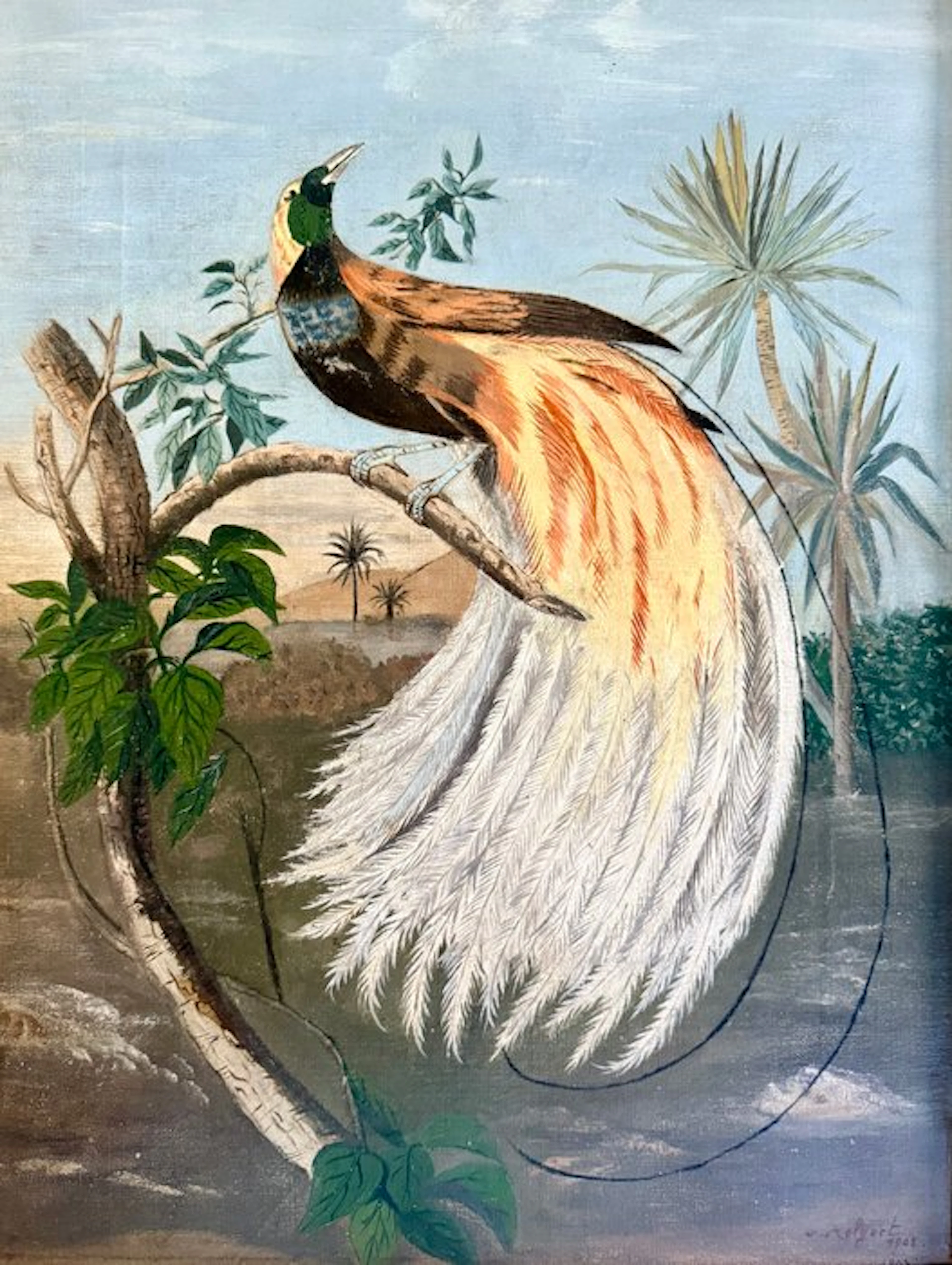 V. Aelgoet (XX) - Vogel van het paradijs
