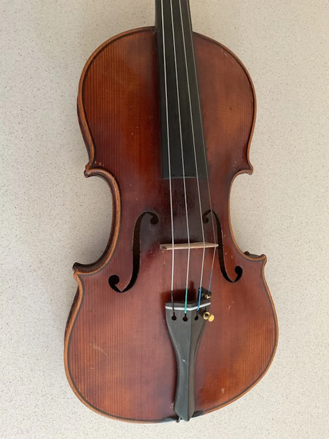 Unknown - - Violin - Germany