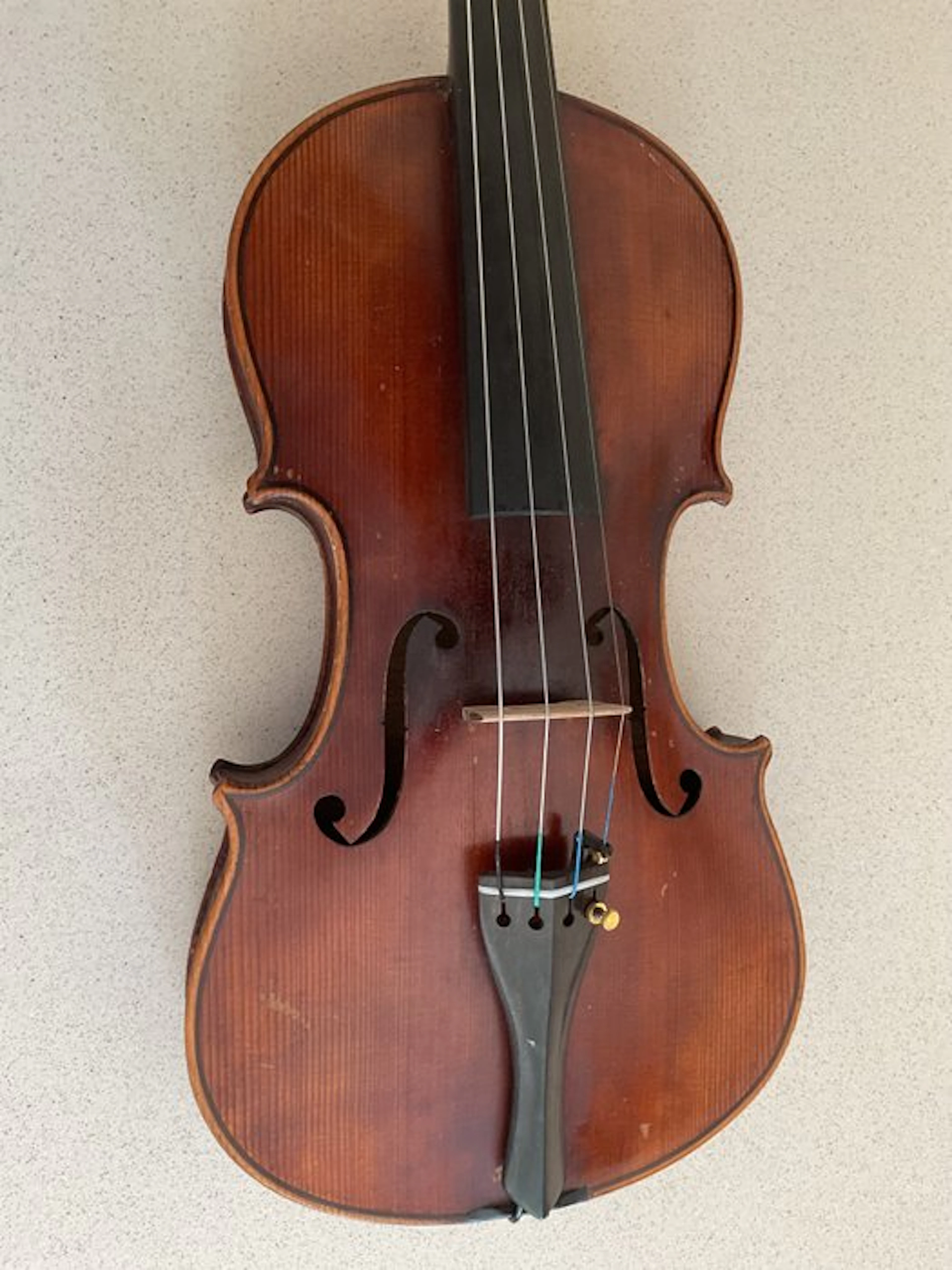 Unknown - - Violin - Germany