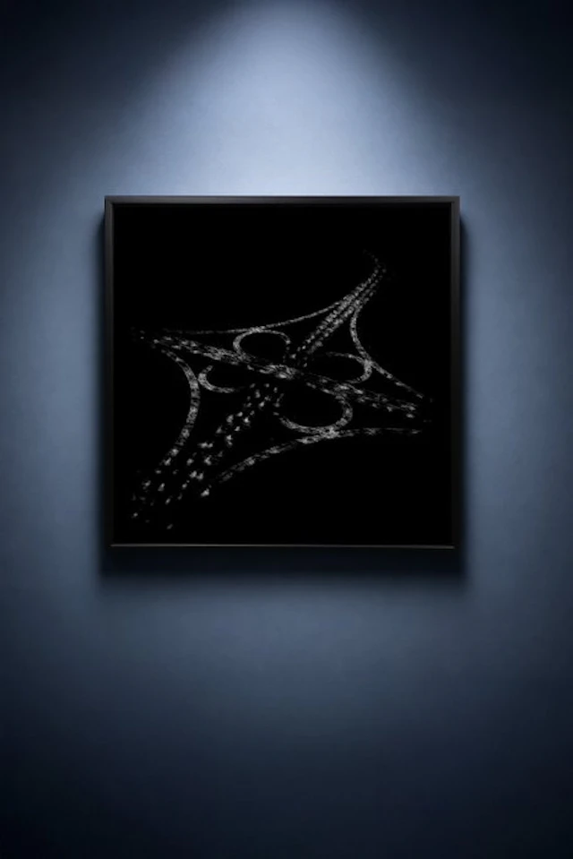 Tijs Dragtsma (1992) - A Tangle Lit by Thousands