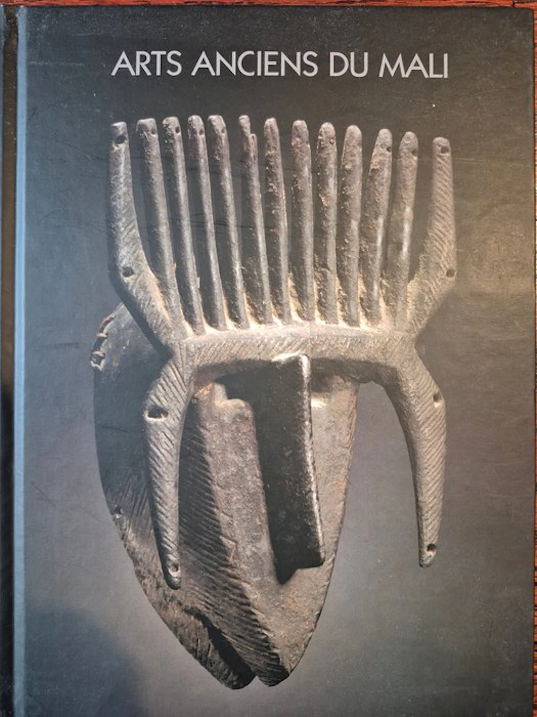 Bertrand Goy & Hughes Dubois - Ancient Arts of Mali...