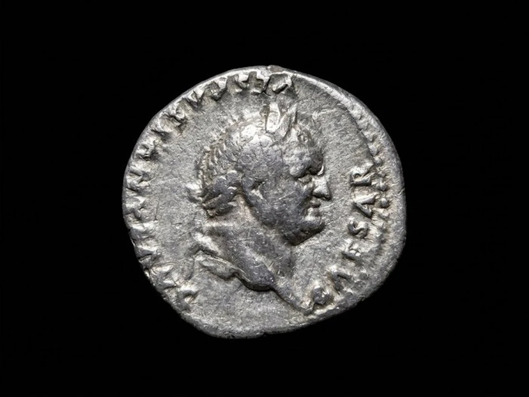 Roman Empire. Vespasian (AD 69-79). Denarius Rome - Sow (No reserve price)