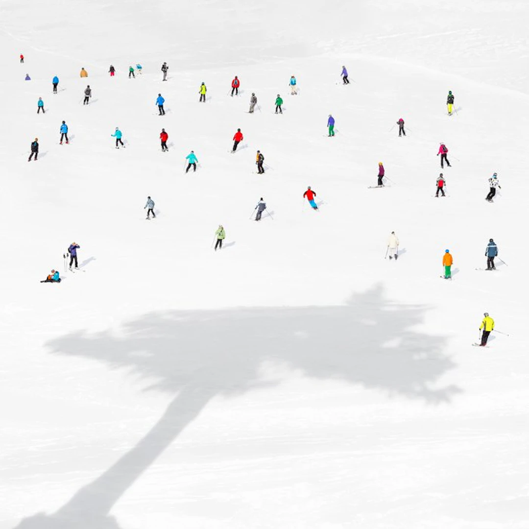 Rosario Civello - The Big Tree - XL
