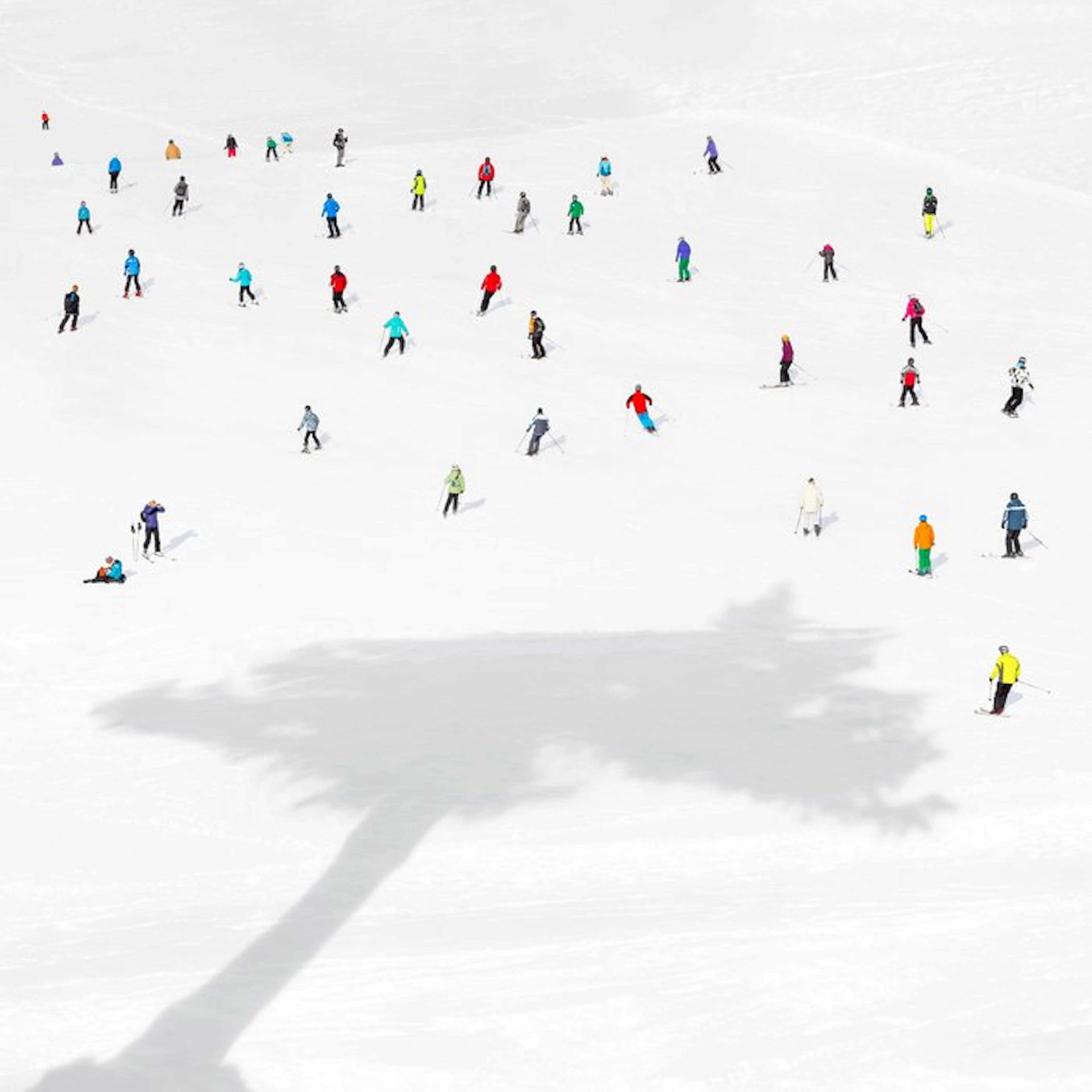 Rosario Civello - The Big Tree - XL