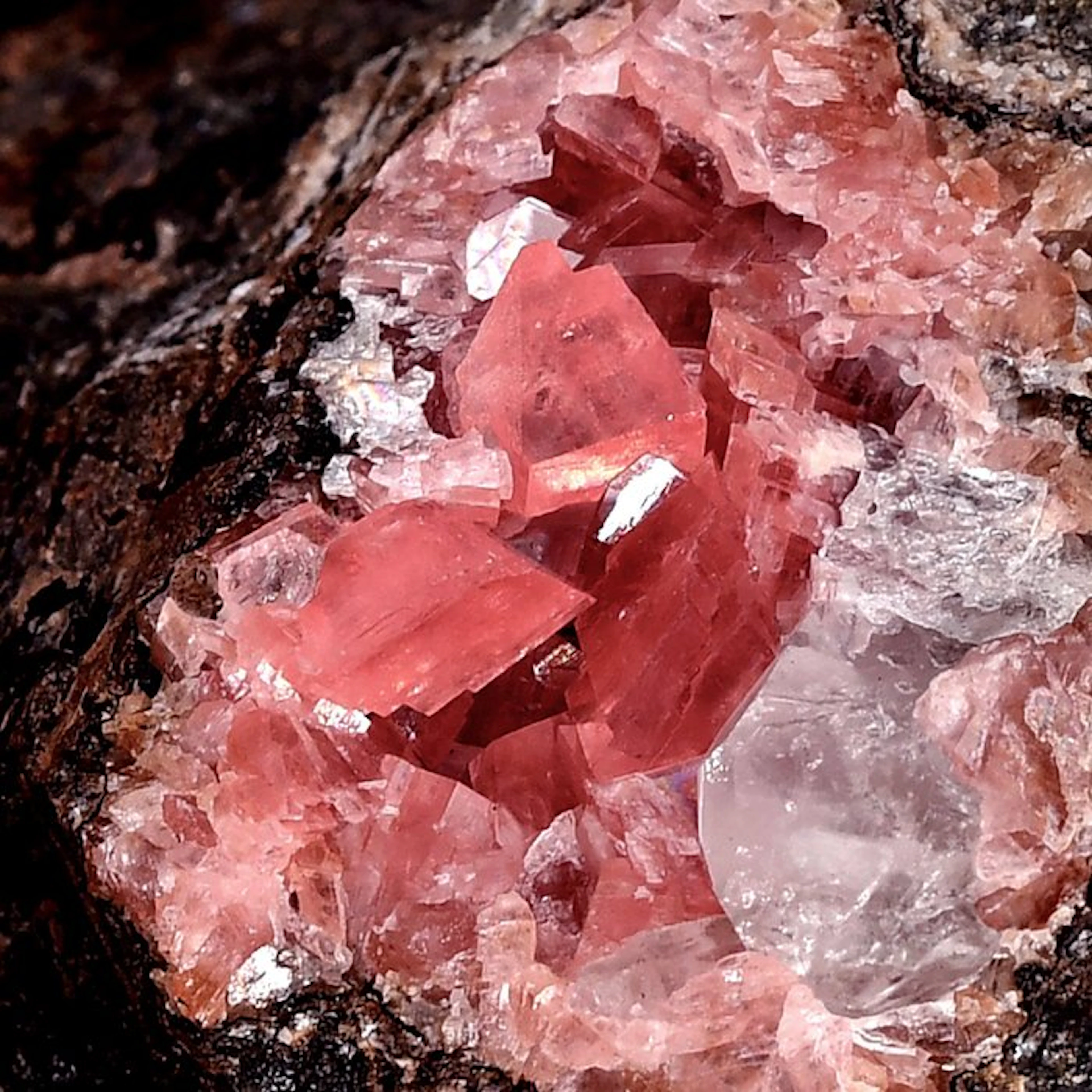 Aesthetic cherry red Rhodochrosite from Peru - Height...