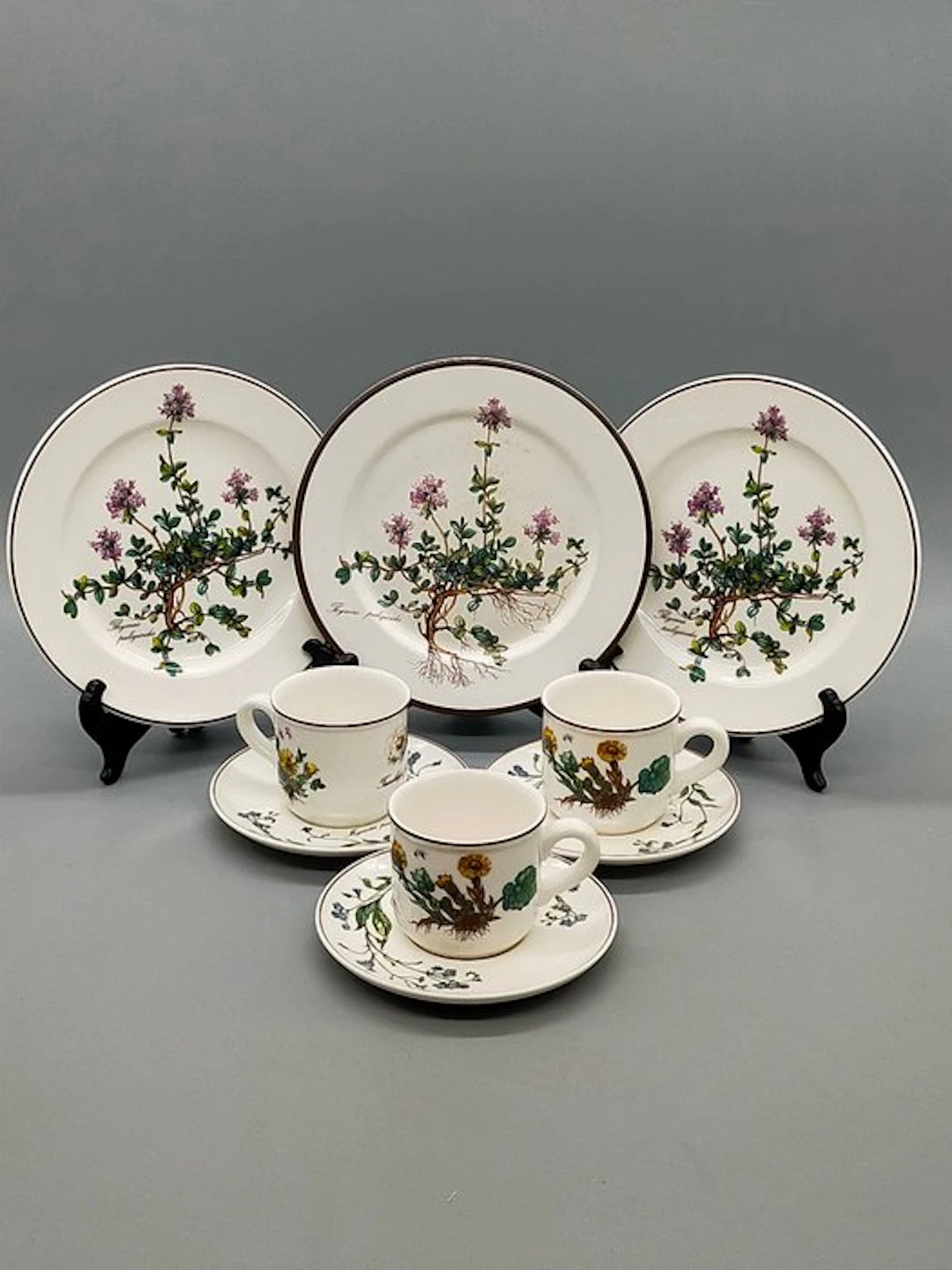 Villeroy & Boch - Coffee set - Botanica Kaffeeservice Porzellan - Porcelain