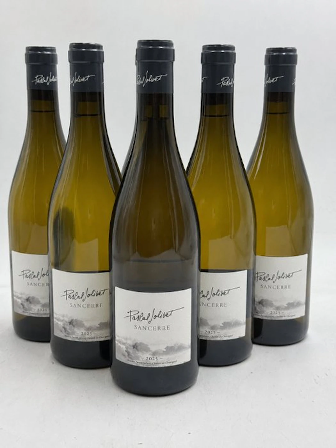 2025 Pascal Jolivet - Sancerre - 6 Bottles (0.75L)
