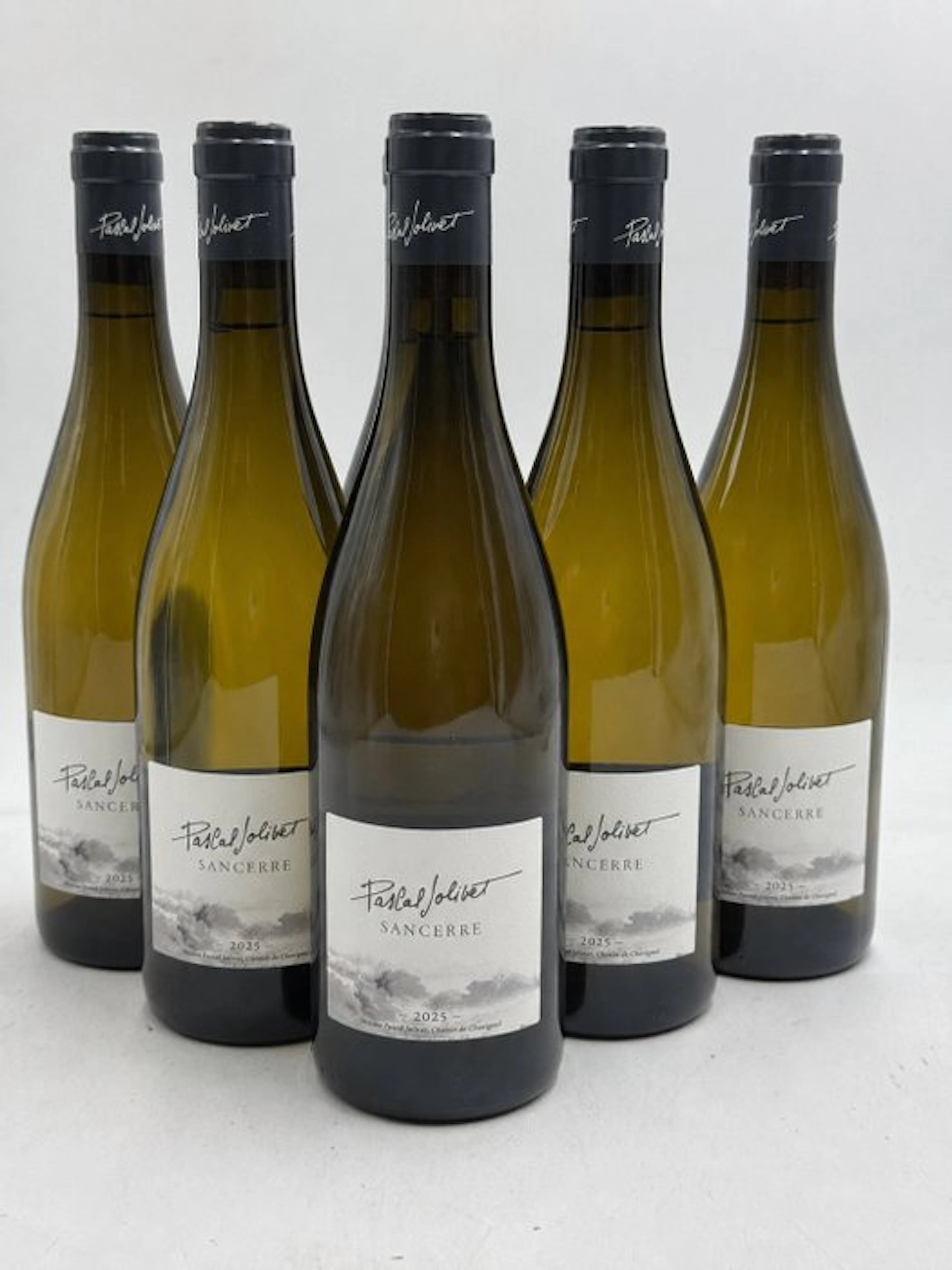 2025 Pascal Jolivet - Sancerre - 6 Bottles (0.75L)