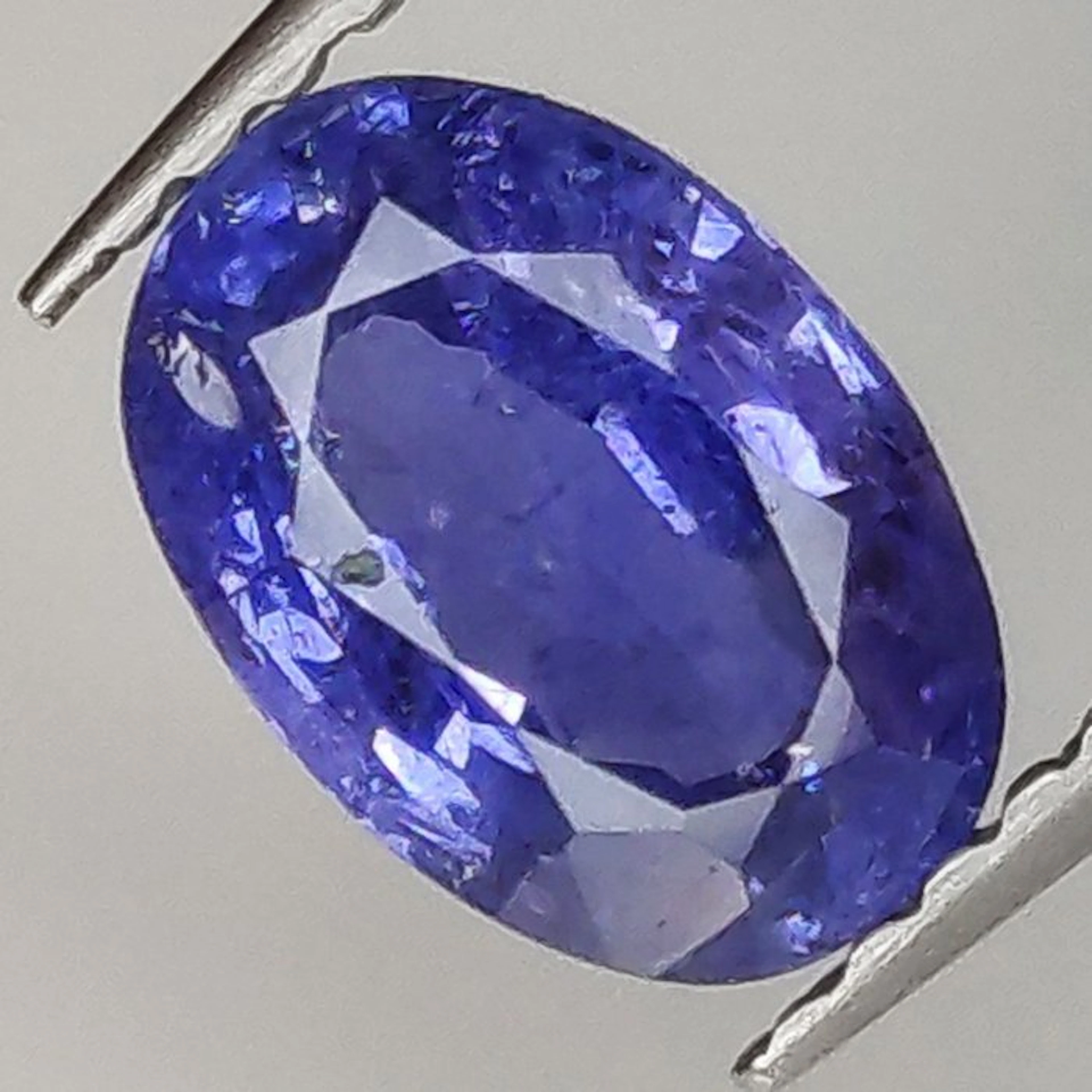1 pcs Blue Sapphire - 1.67 ct - Antwerp Laboratory for Gemstone Testing (ALGT)