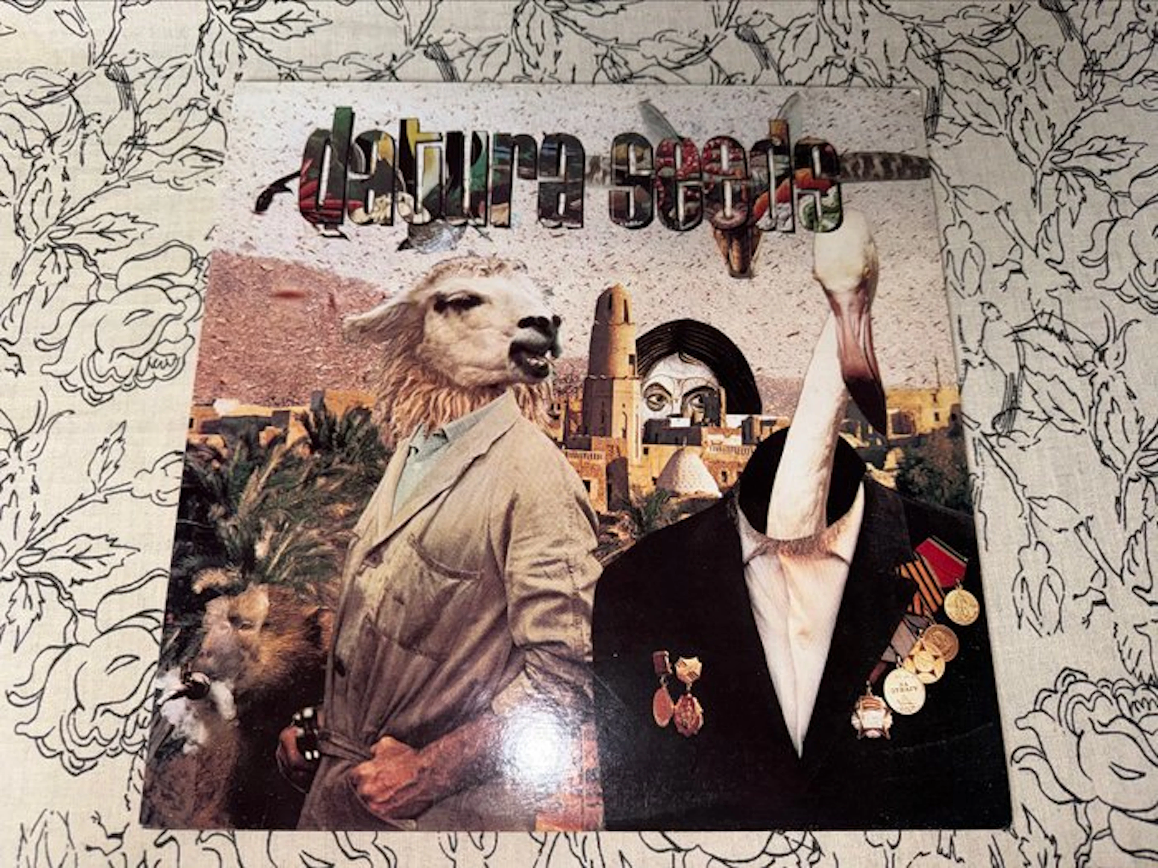 Datura Seeds - Who Do You Want It To Be? - Vinyl record - 1990