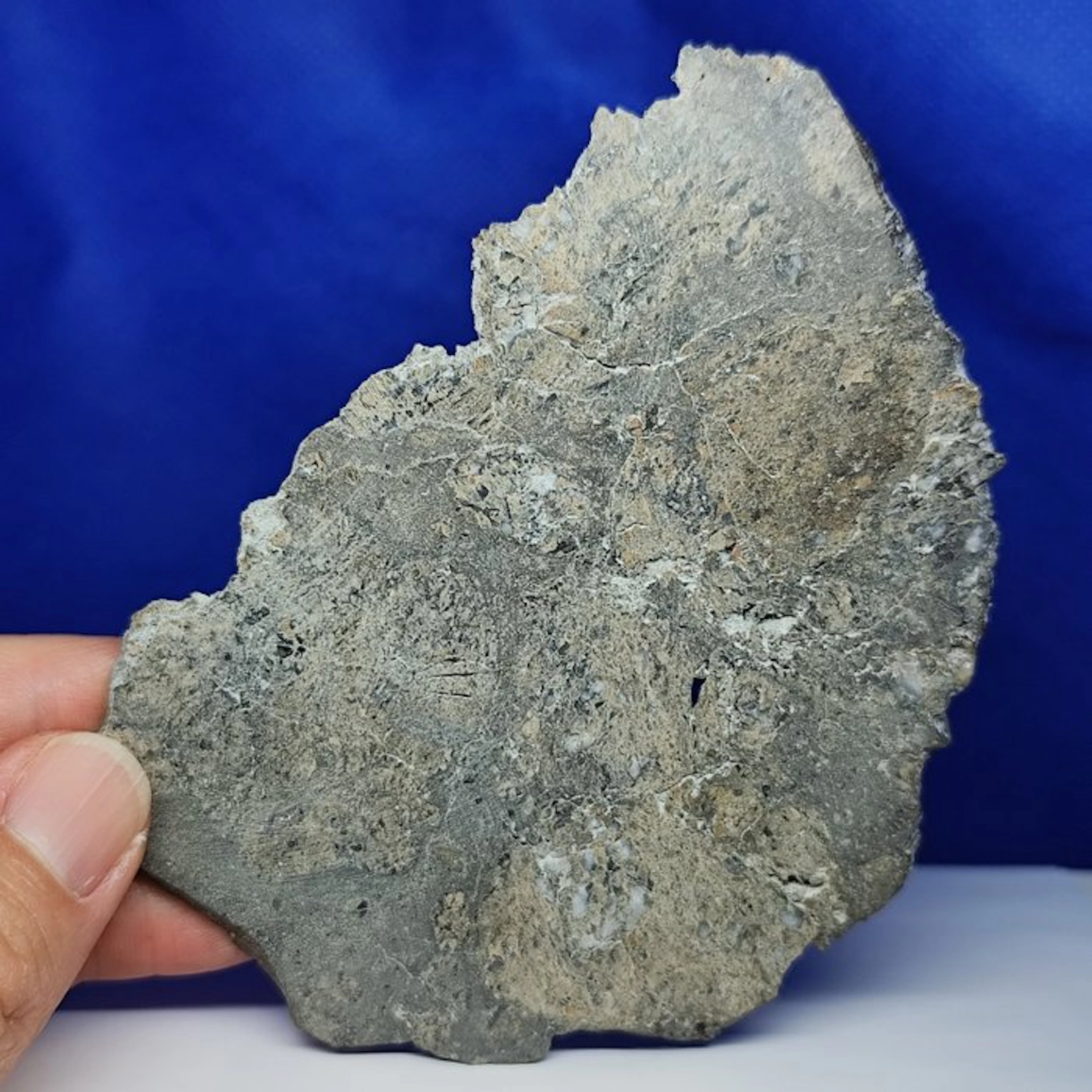 11.5 cm!- EUCRITE METEORITE Slice