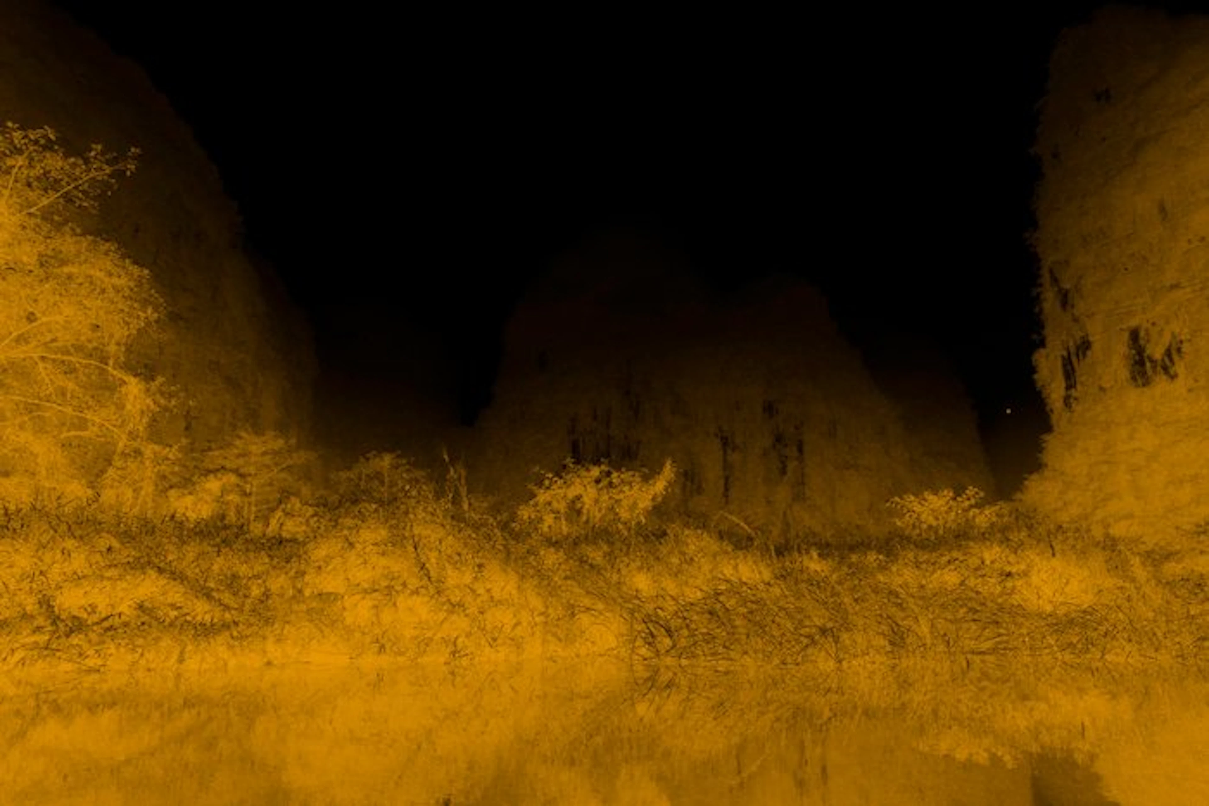 Viet Ha Tran - Echoes in Gold - XL Edition (Hahnemühle...