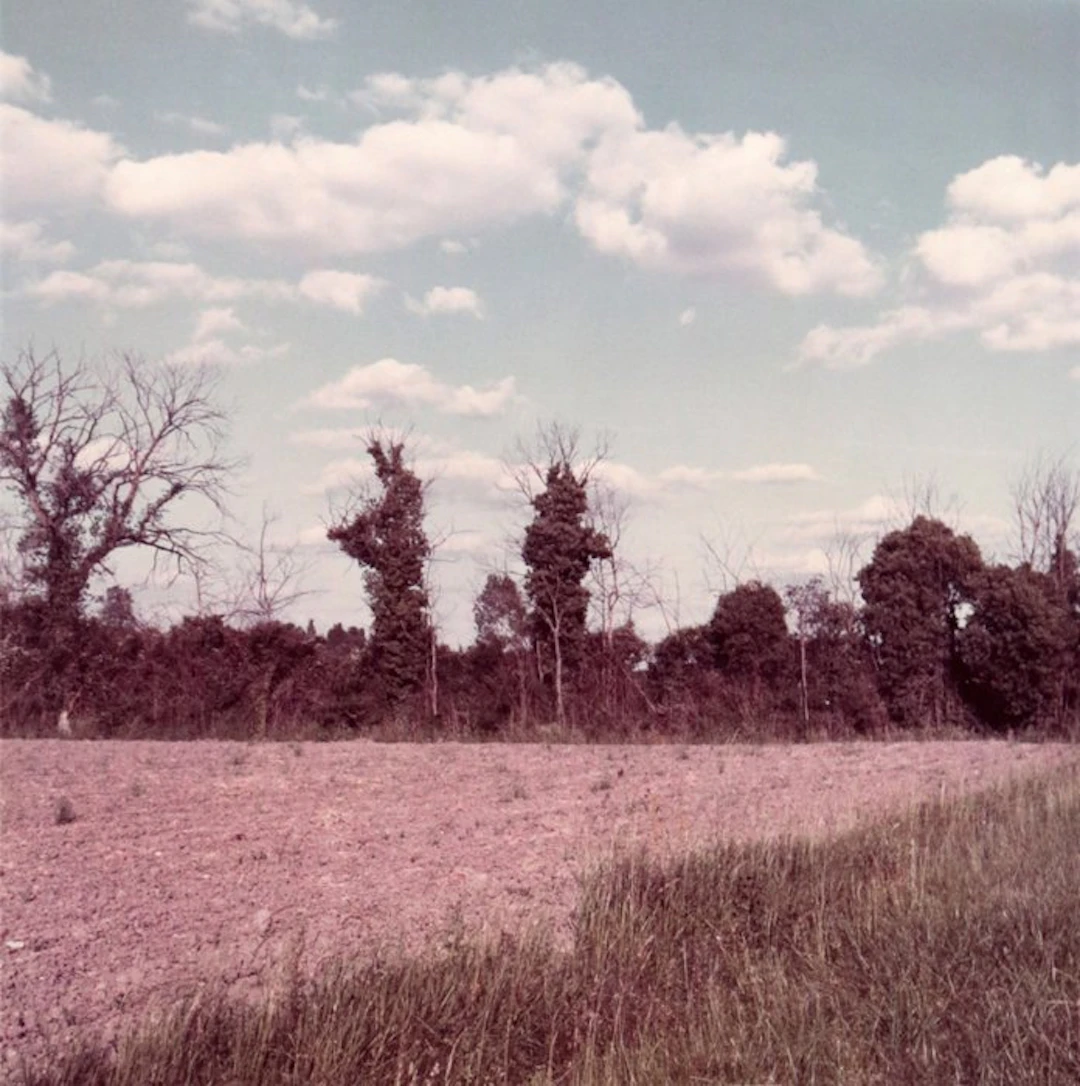 Olivo Barbieri - Richelieu, 1983