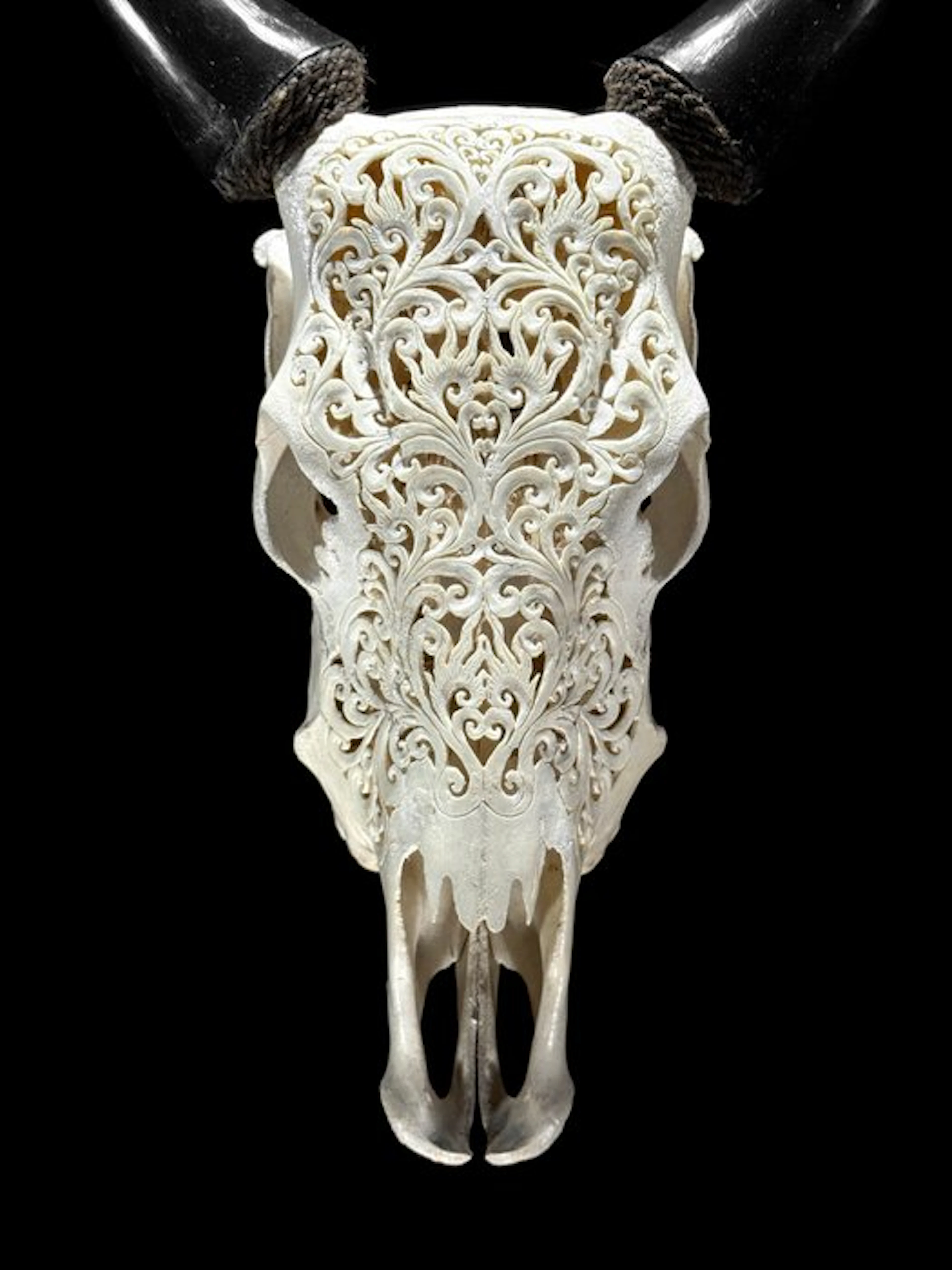 NO RESERVE PRICE - Authentic White Carved Cow Skull...