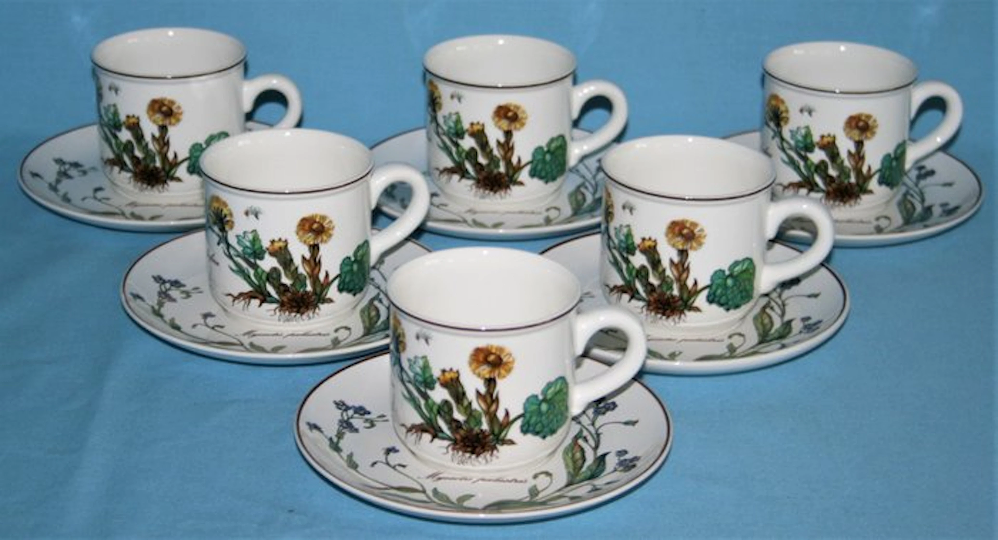 Villeroy & Boch - Coffee set for 6 (12) - Botanica - Vitro Porcelaine