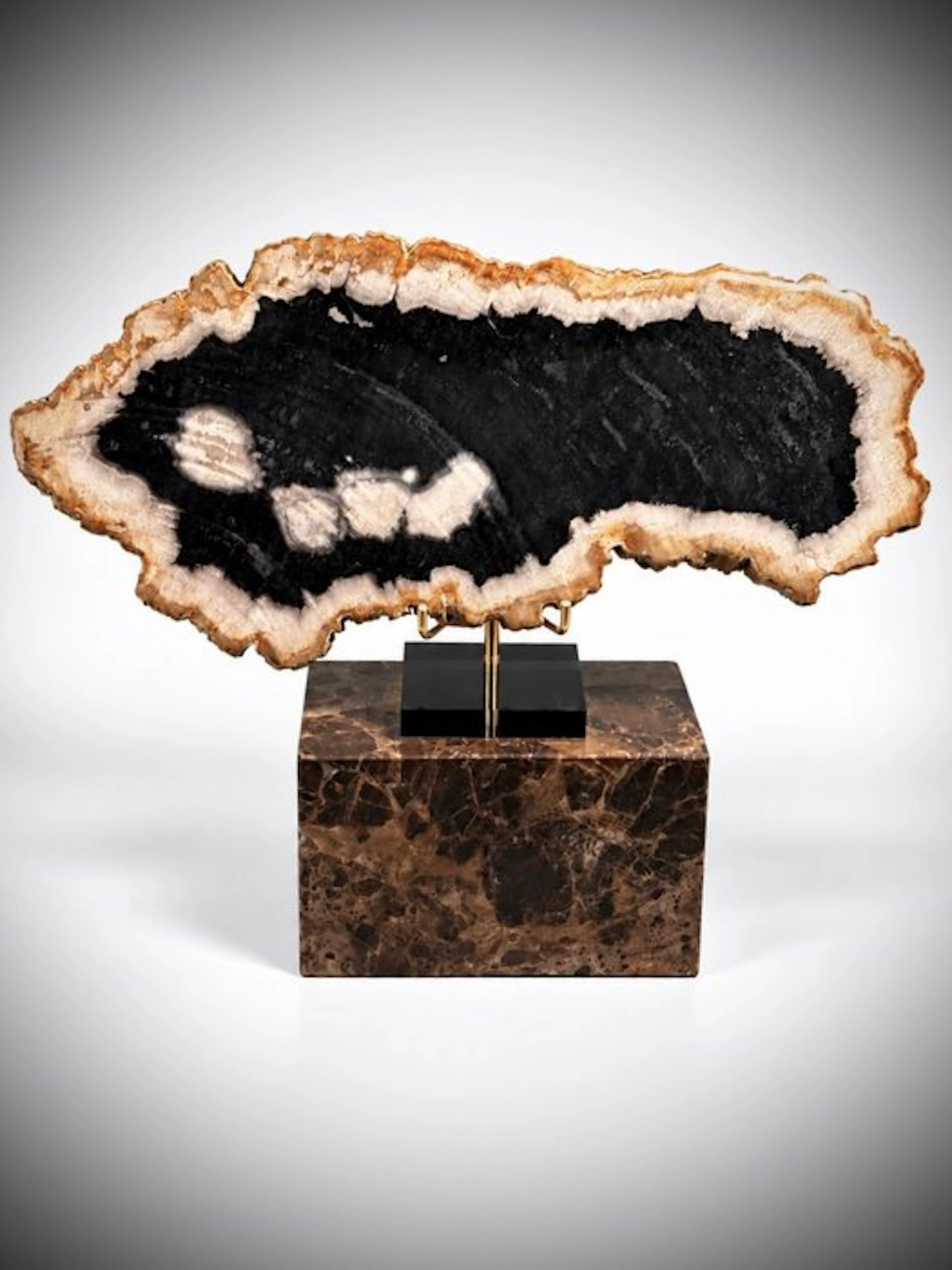Polished Black and White Fossil Wood on Solid Marble...