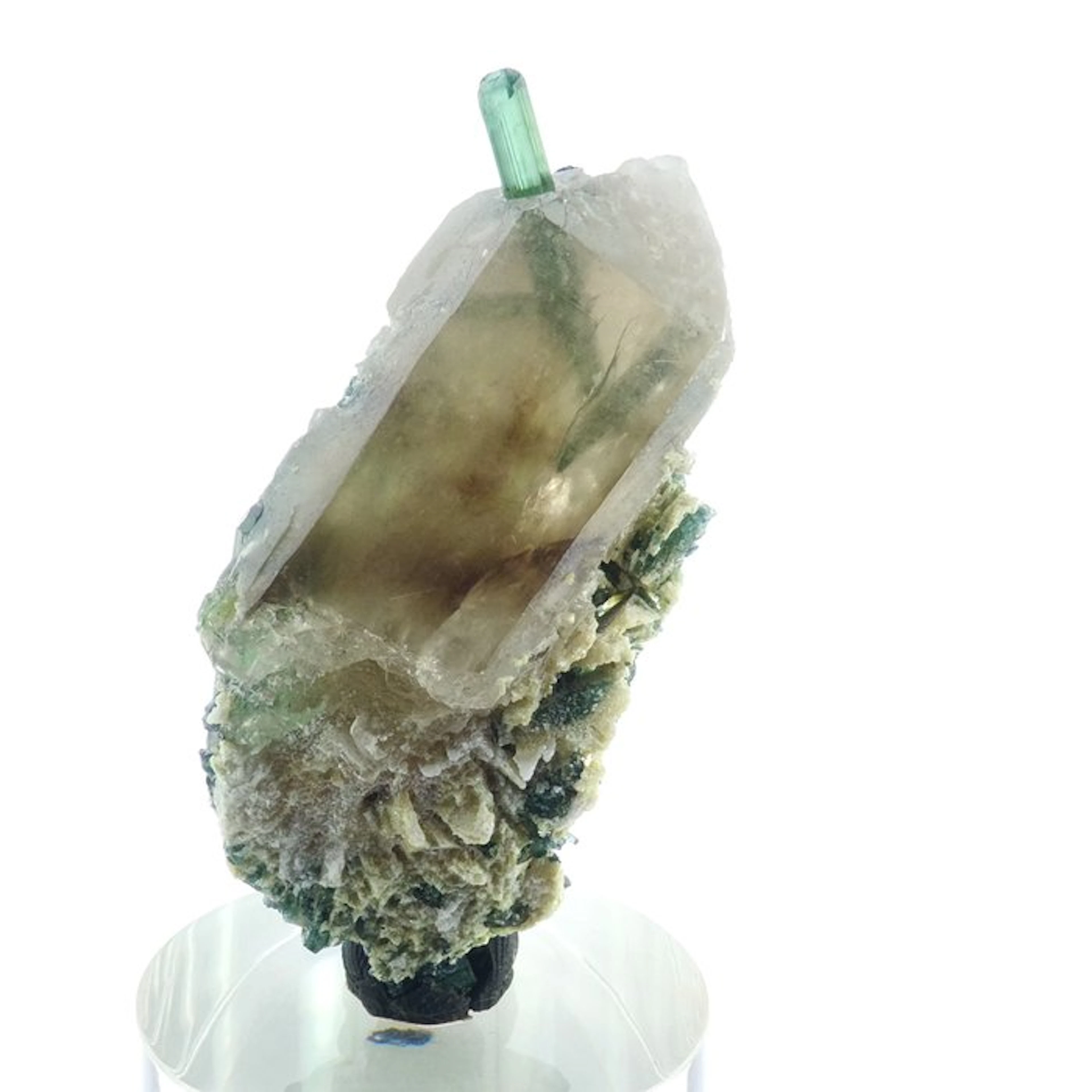 Tourmaline verdelite on smoky Quartz - Minas Gerais