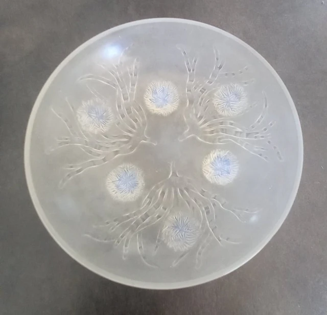 Vide poche - Sabino, Paris - Sea urchins - France - Opalescent glass coupe