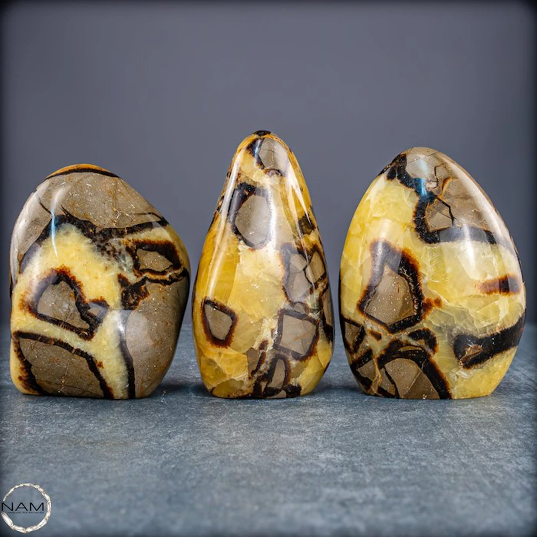 Powerful Earth energy – Exclusive Septarian Freeform Set...