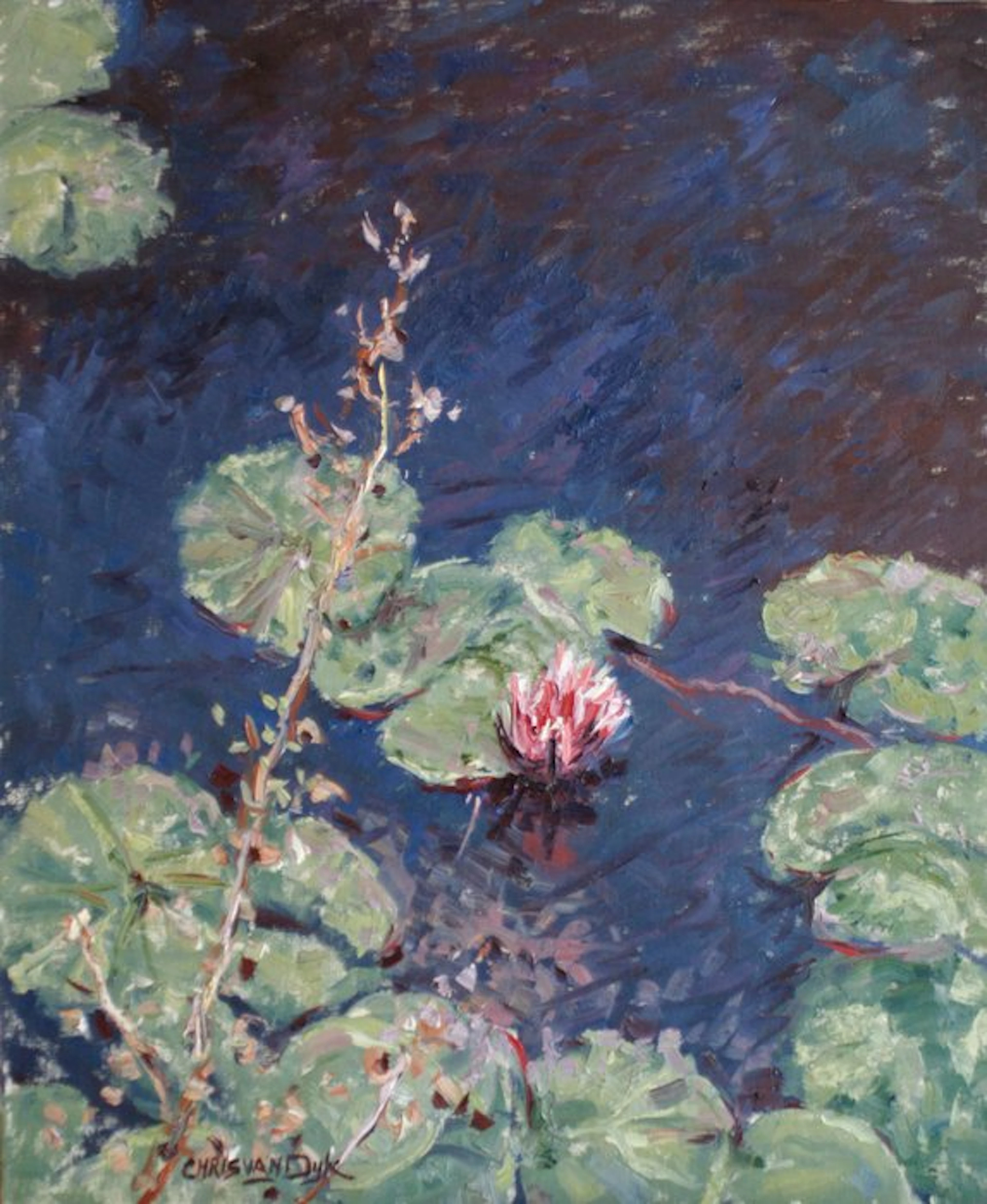 Chris van Dijk (1952) Impressionist - " La première fleur du Nénuphar "