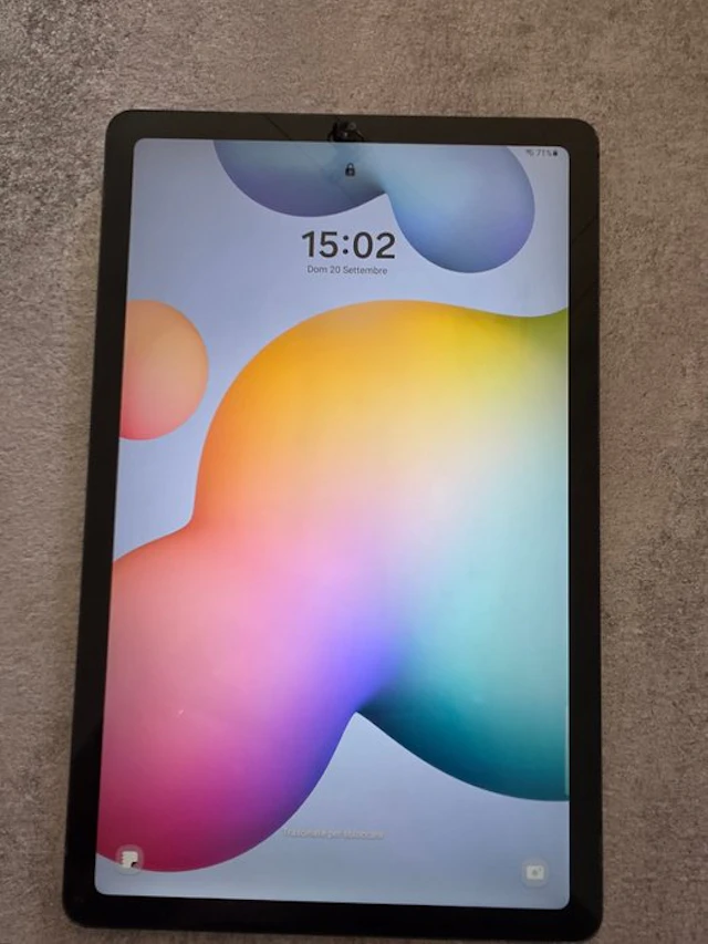 Samsung Galaxy Tab S6 Lite (SM-P610) - Mobile phone (1) - In original box