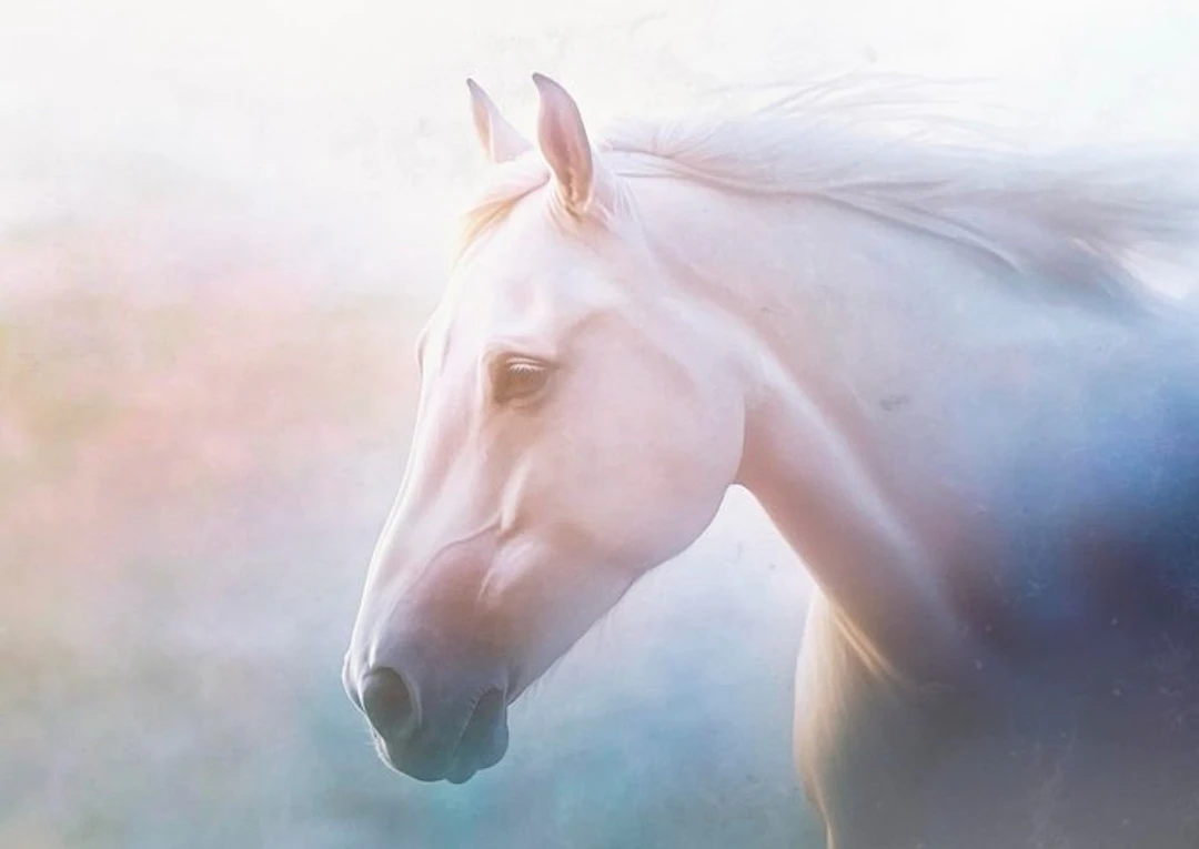Jorge Omeñaca - Future unicorn