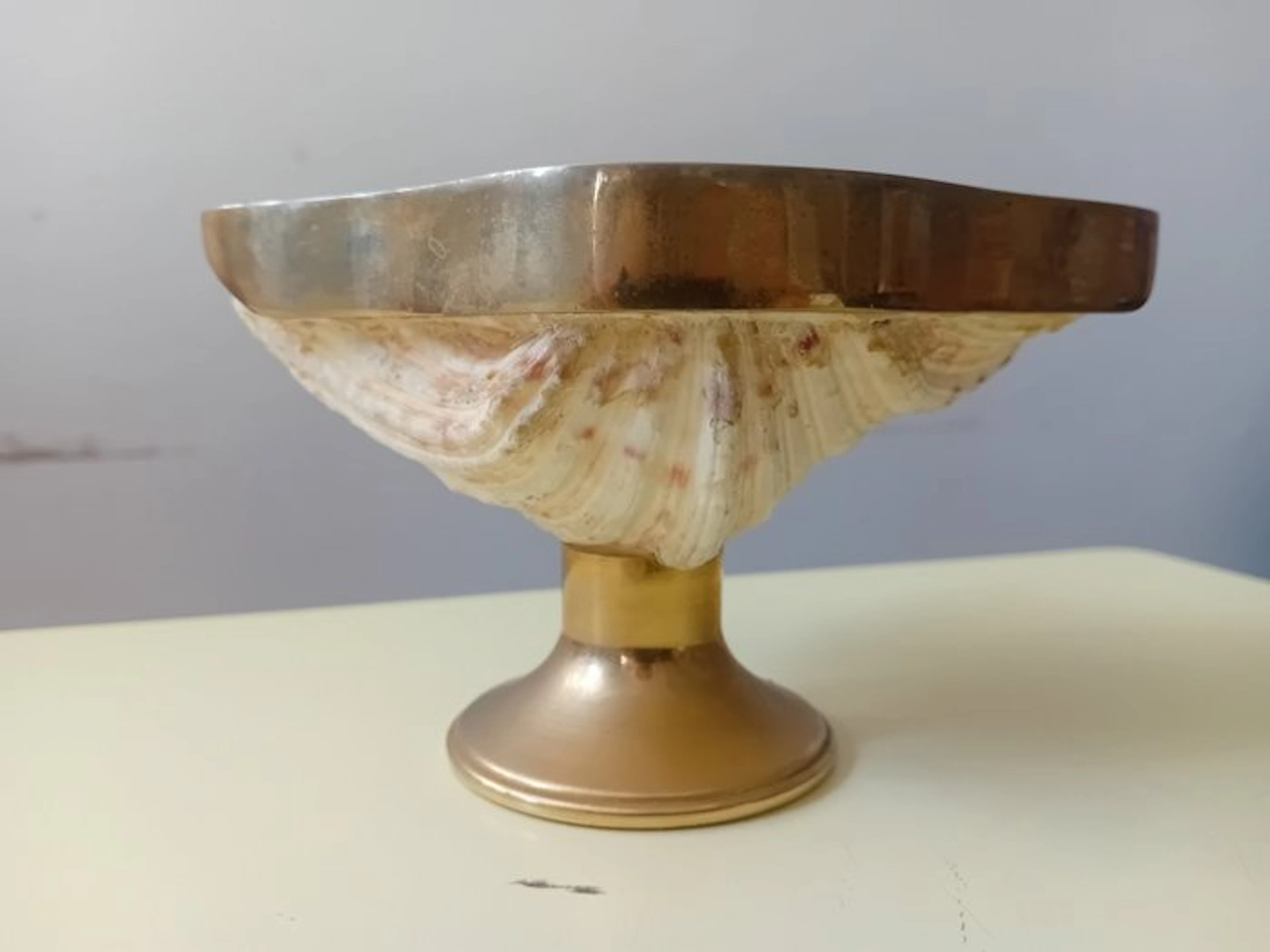 Vide poche - Shell - Italy - Regency style