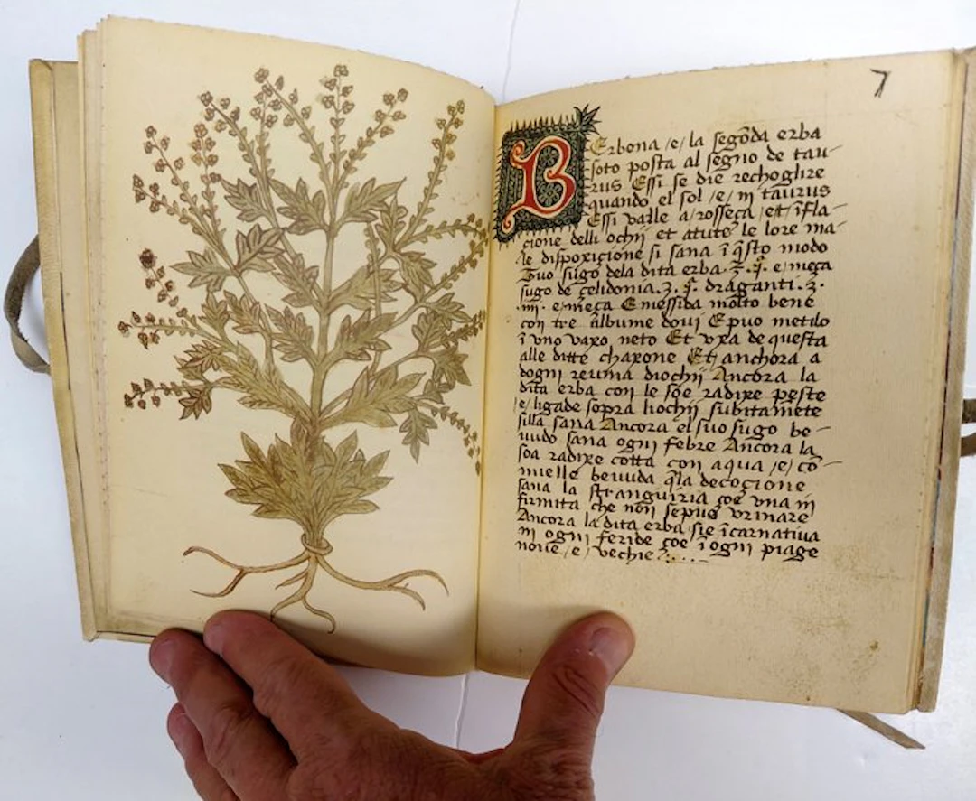 Italy - Venice-Treviso; Corbo & Fiore - "Libro della...