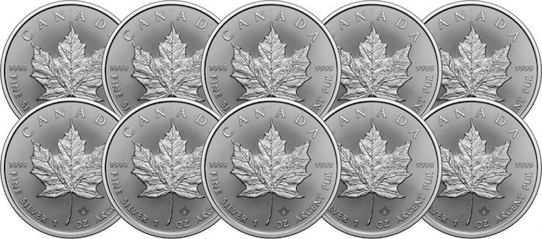 10 Troy Ounce - Silver .999 - Maple Leaf 2026 - 311 gram - fine silver