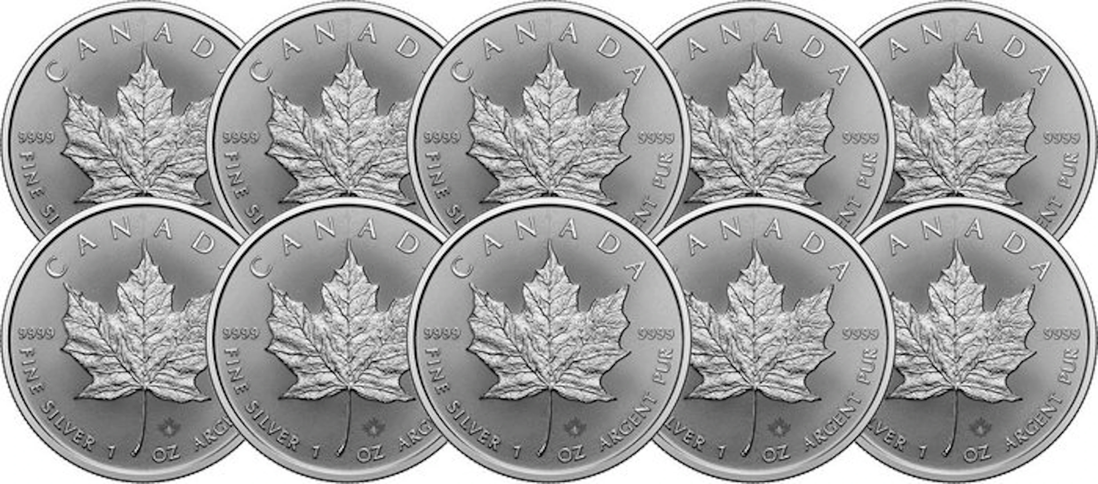 10 Troy Ounce - Silver .999 - Maple Leaf 2026 - 311 gram - fine silver