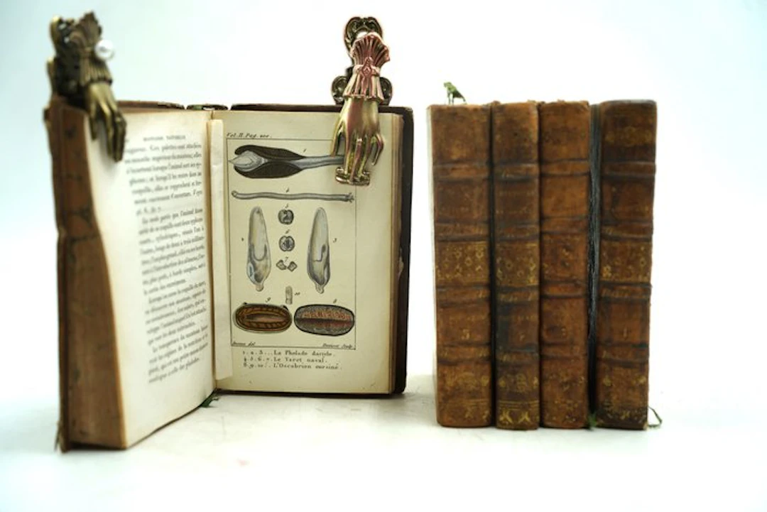 L. A. G. Bosc - Histoire naturelle des coquilles...