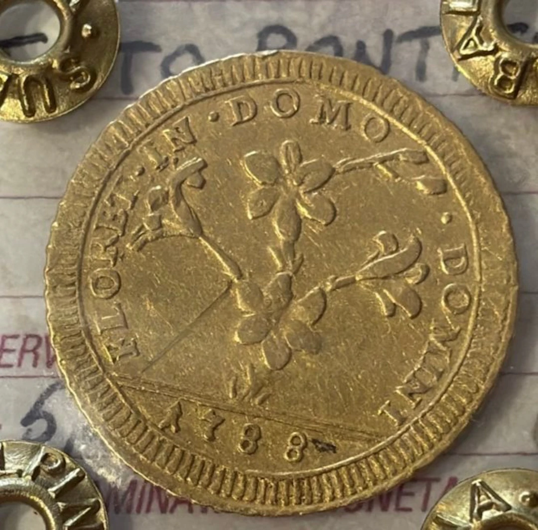 Italy, Papal State Pio VI. Doppia 1788
