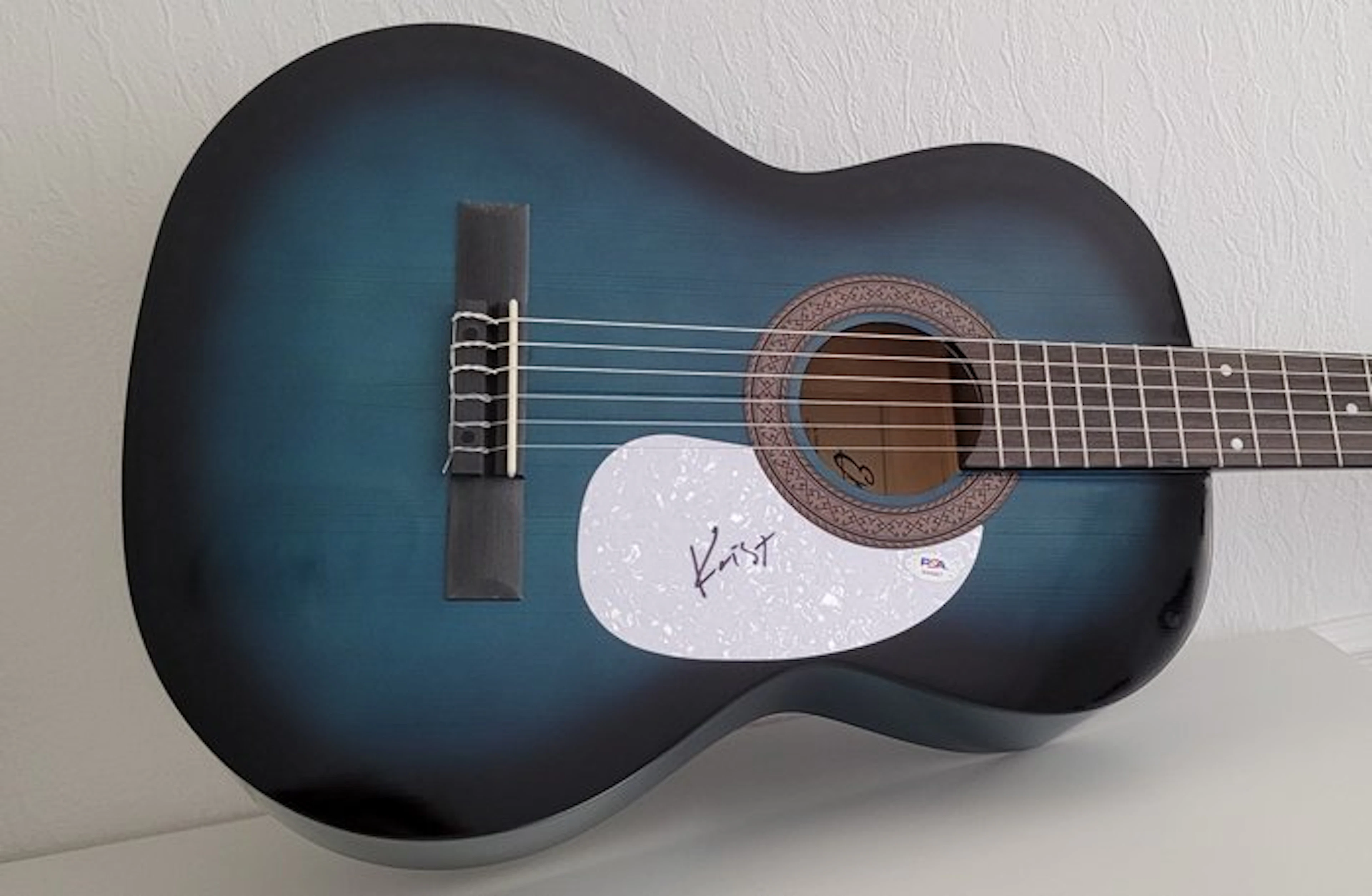Nirvana, Krist Novoselic Co-Founded and Bassist - Autograph, Guitar