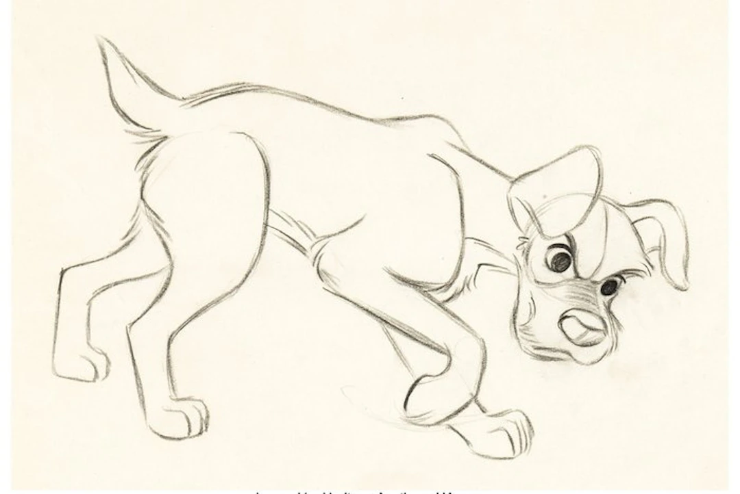 Walt Disney - Tramp Animation Drawing - Lady and the Tramp (Walt Disney, 1955)