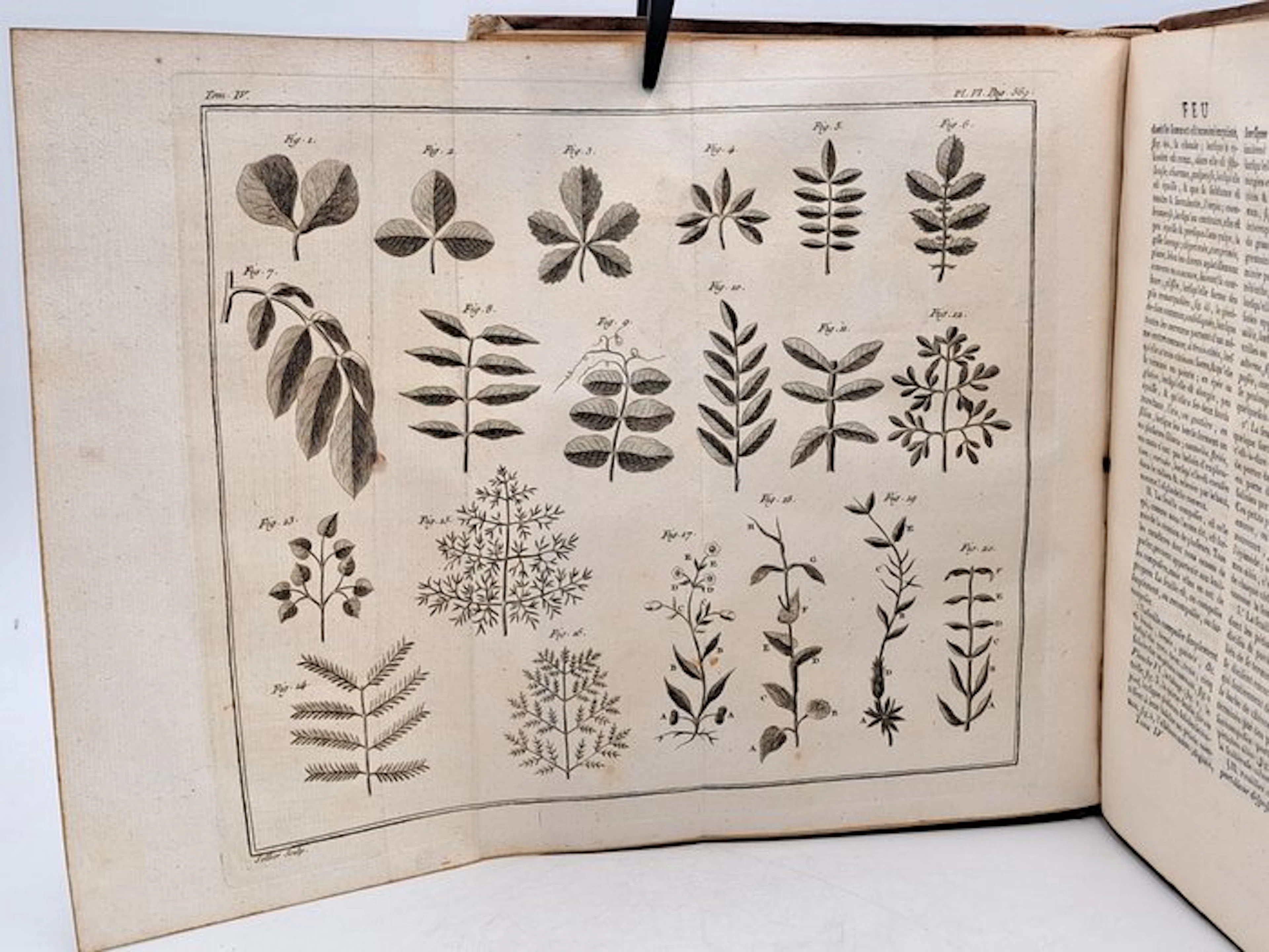 François Rozier - [Tome IV] - Cours complet d'agriculture - 1786