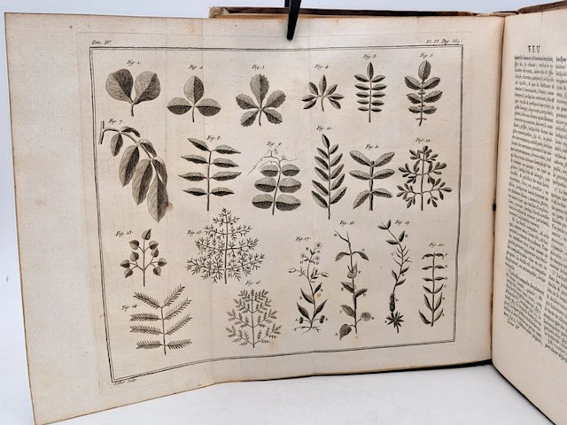 François Rozier - [Tome IV] - Cours complet d'agriculture - 1786